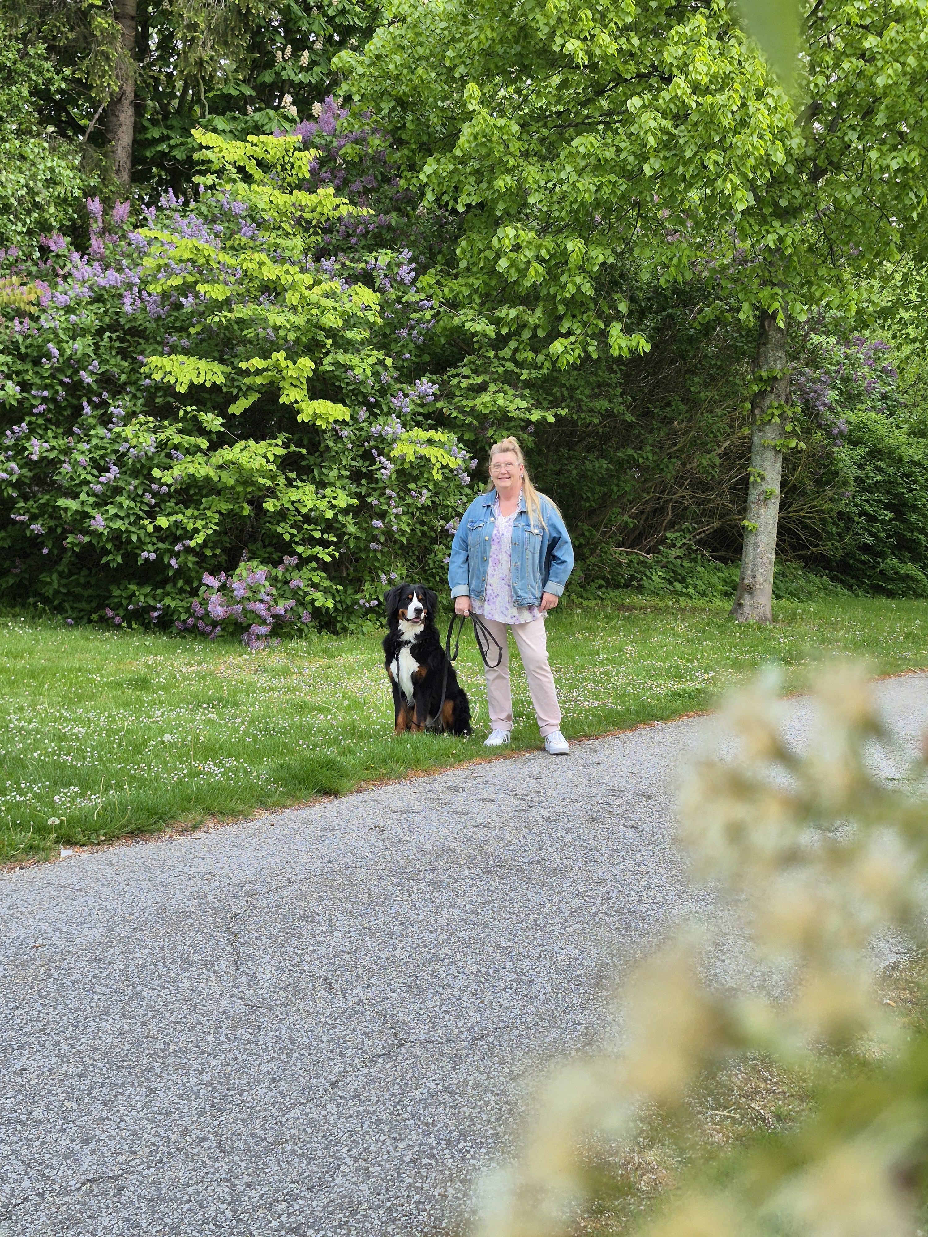 En svart hund och en kvinna står på ett grönt promenadstråk.