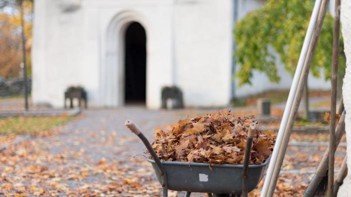 Skottkärra fylld med höstlöv framför vit kyrka.