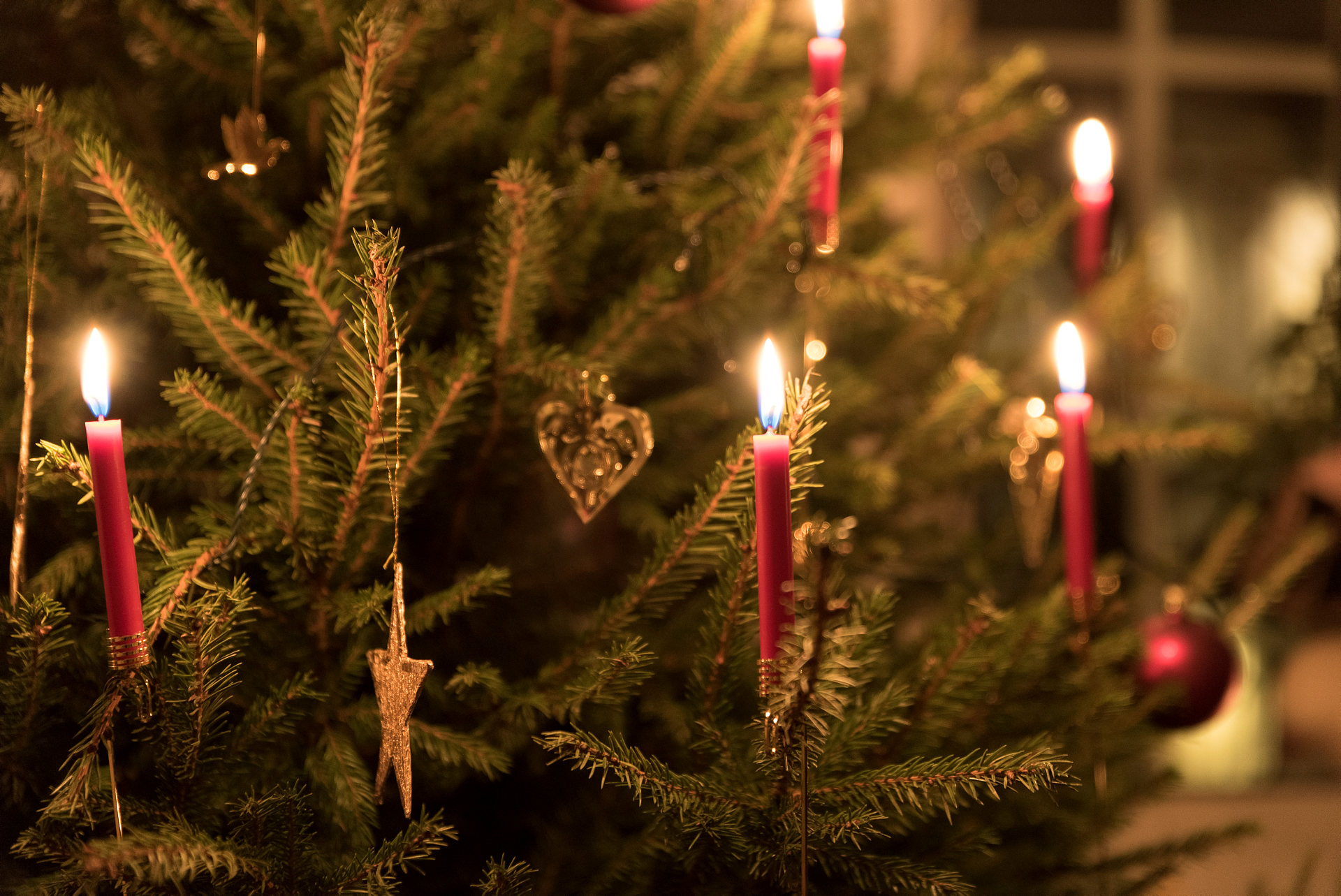 Tända ljus i en julgran.