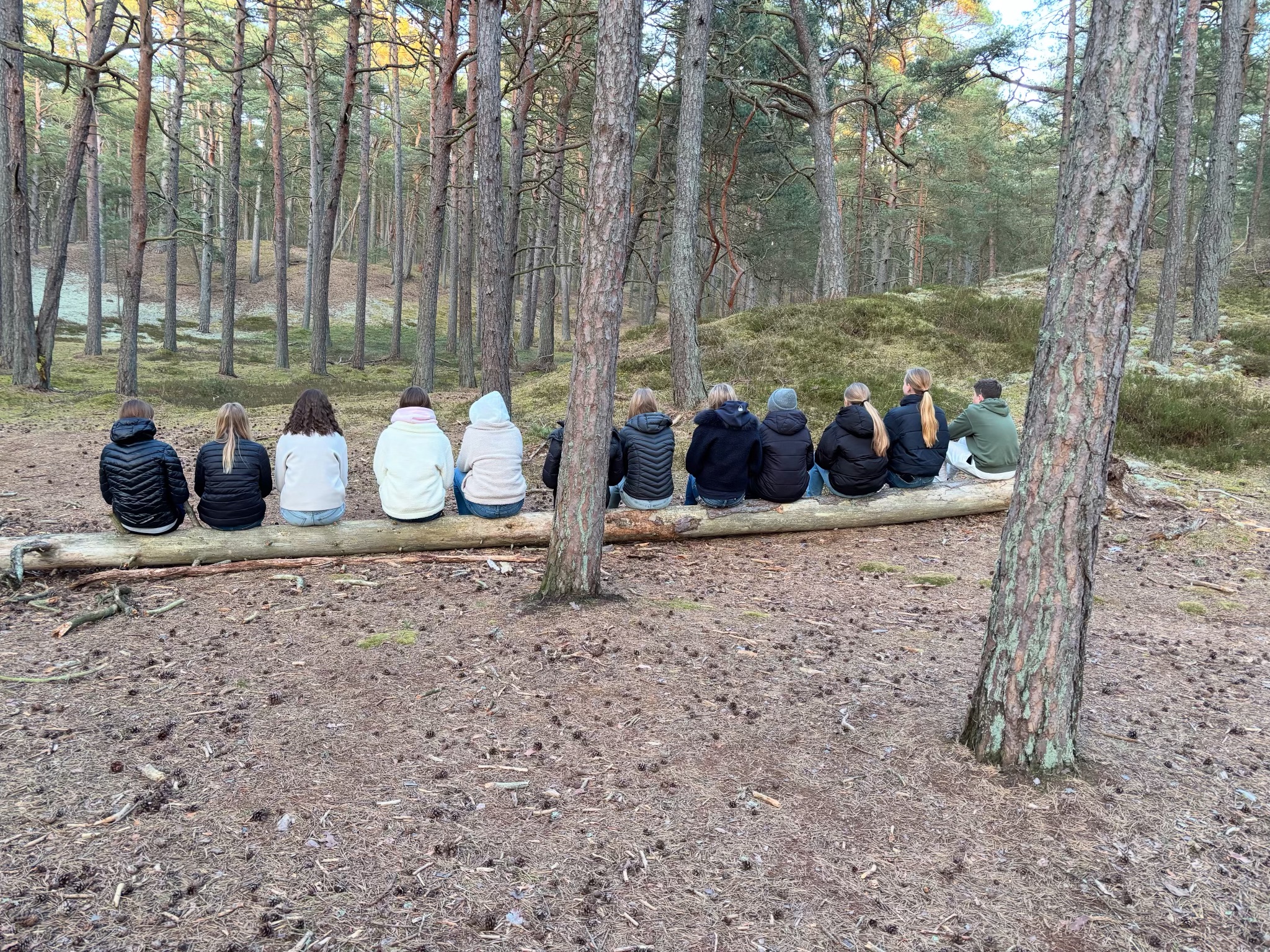 Ungdomar sedda bakifrån sittande i skog.