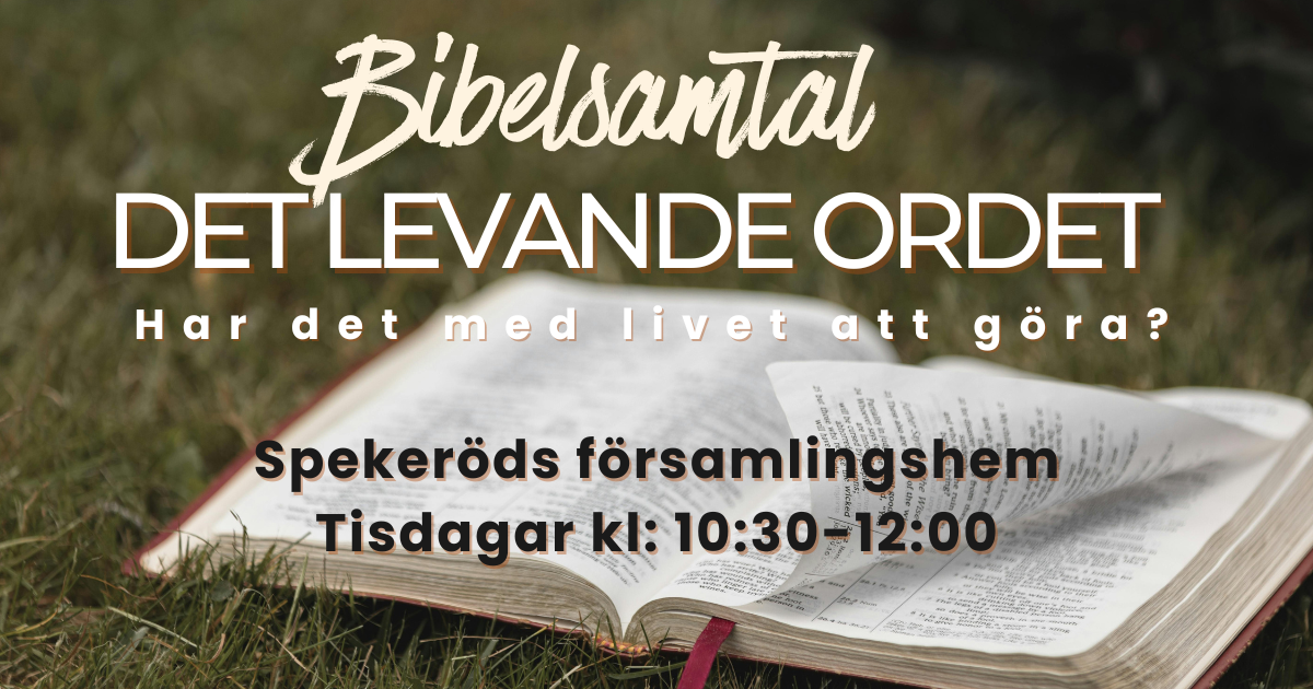 Bibelsamtal