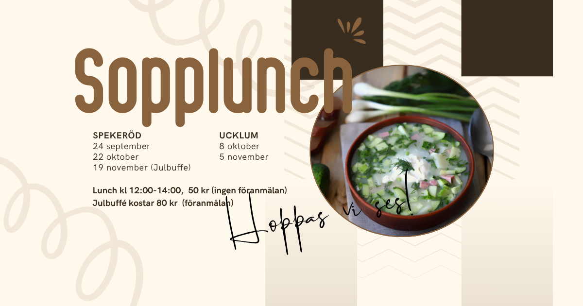 sopplunch (6)