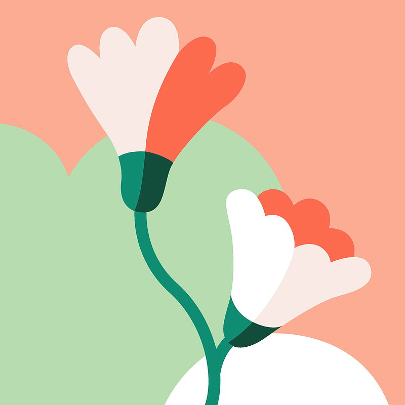 Blomma