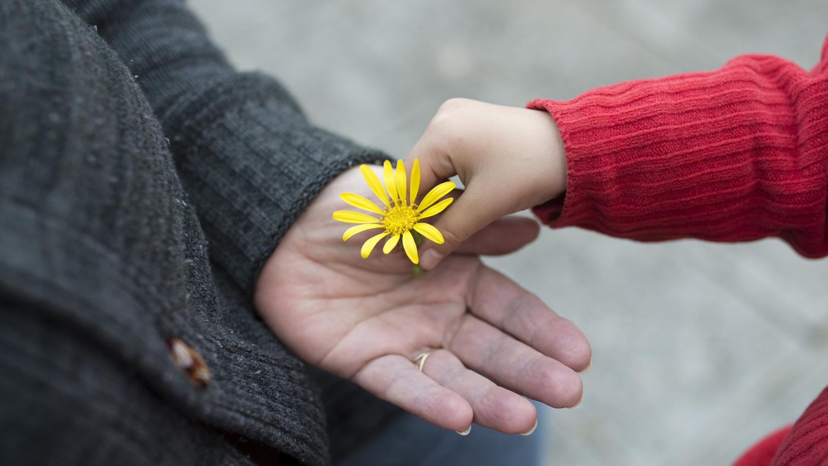 Kvinna tar emot en blomma i sin hand från ett barn