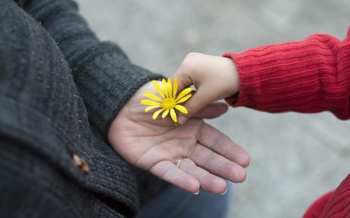 Litet barn lägger gul blomma i en vuxen kvinnas hand.