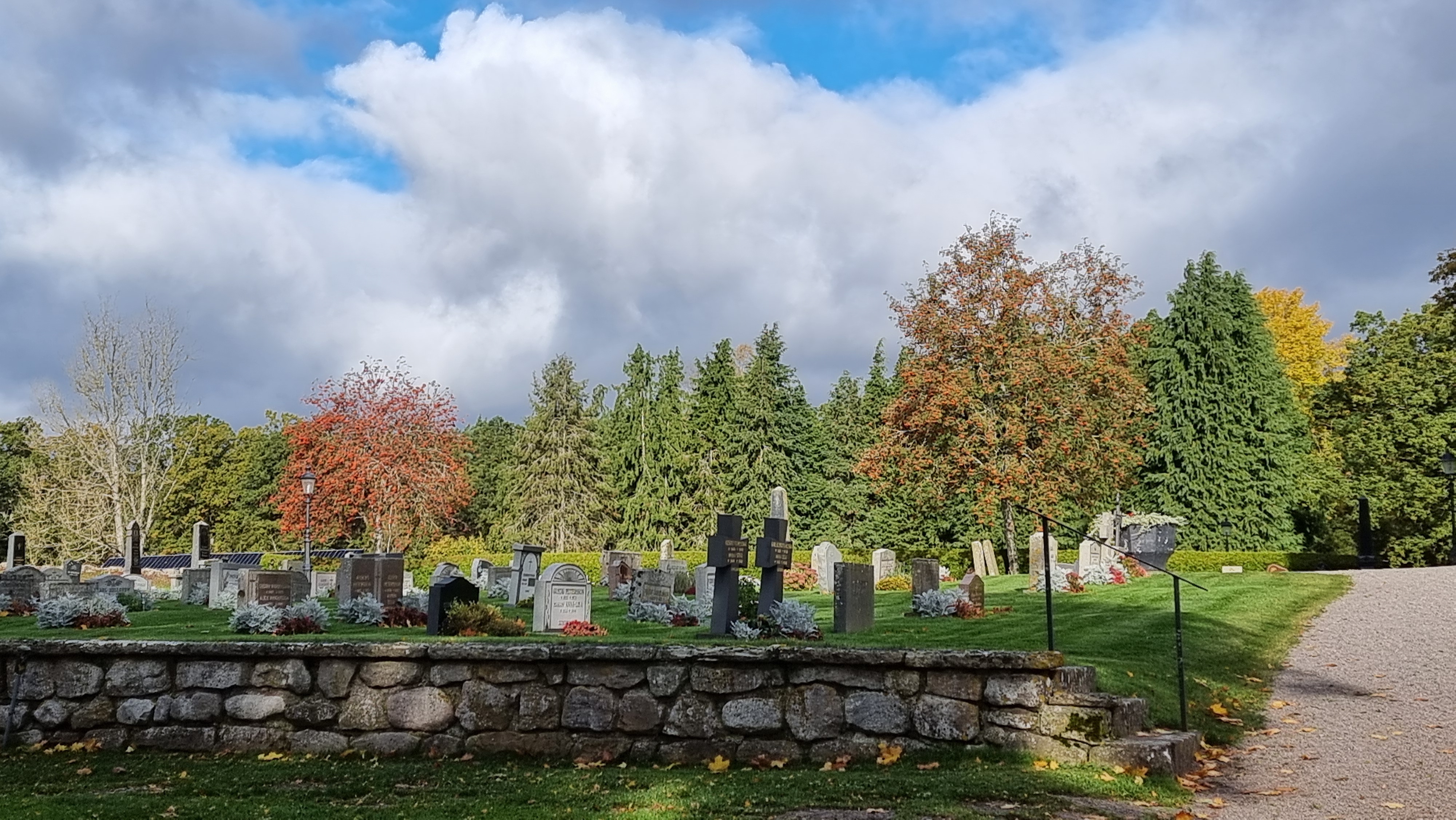 En vy över en kyrkogård med träd och himmel i bakgrunden