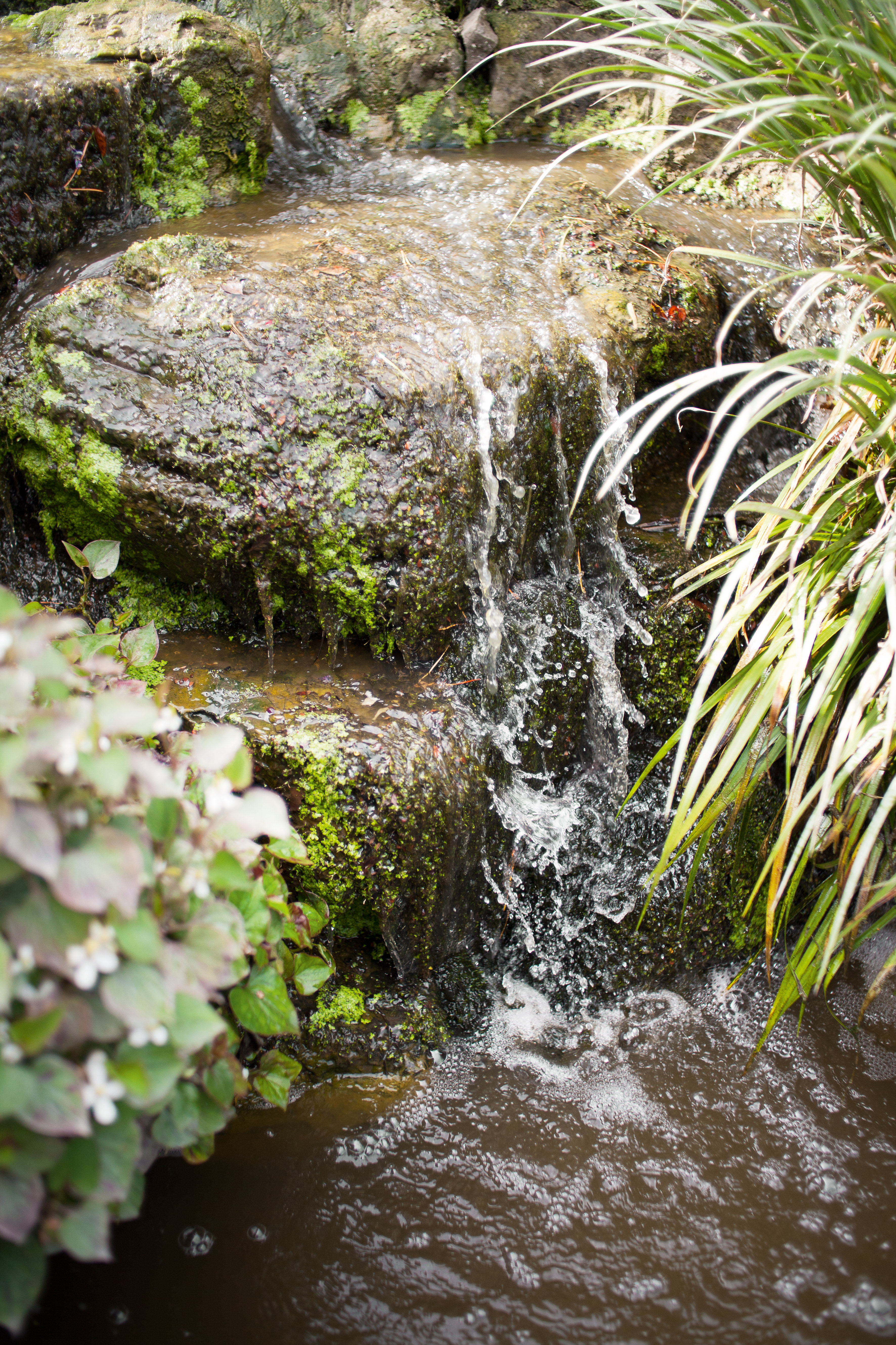 Vatten som strömmar ur en källa
