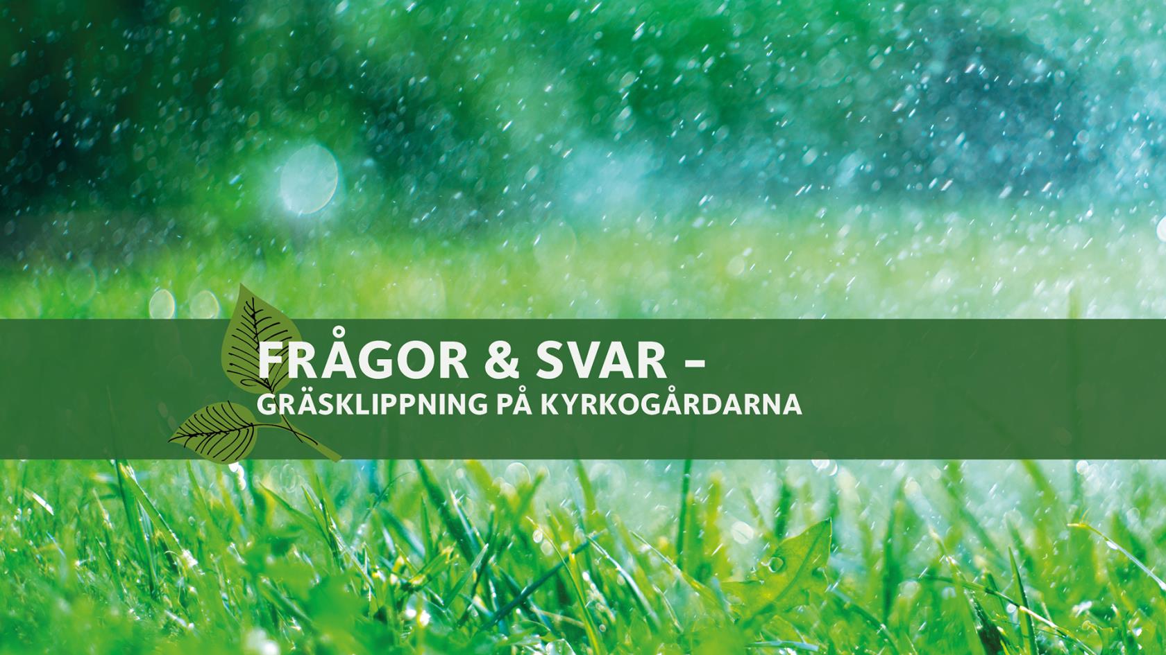 Frågor och Svar om gräsklippningen vid kyrkogårdarna