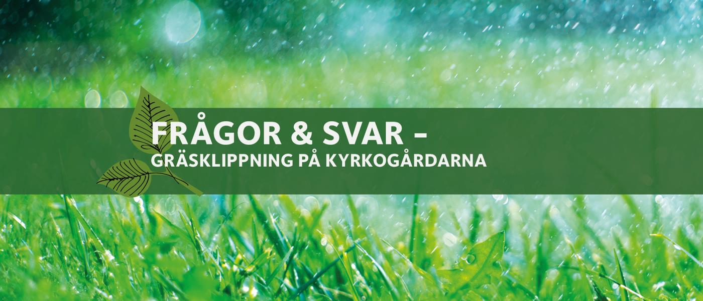 Frågor och Svar om gräsklippningen vid kyrkogårdarna