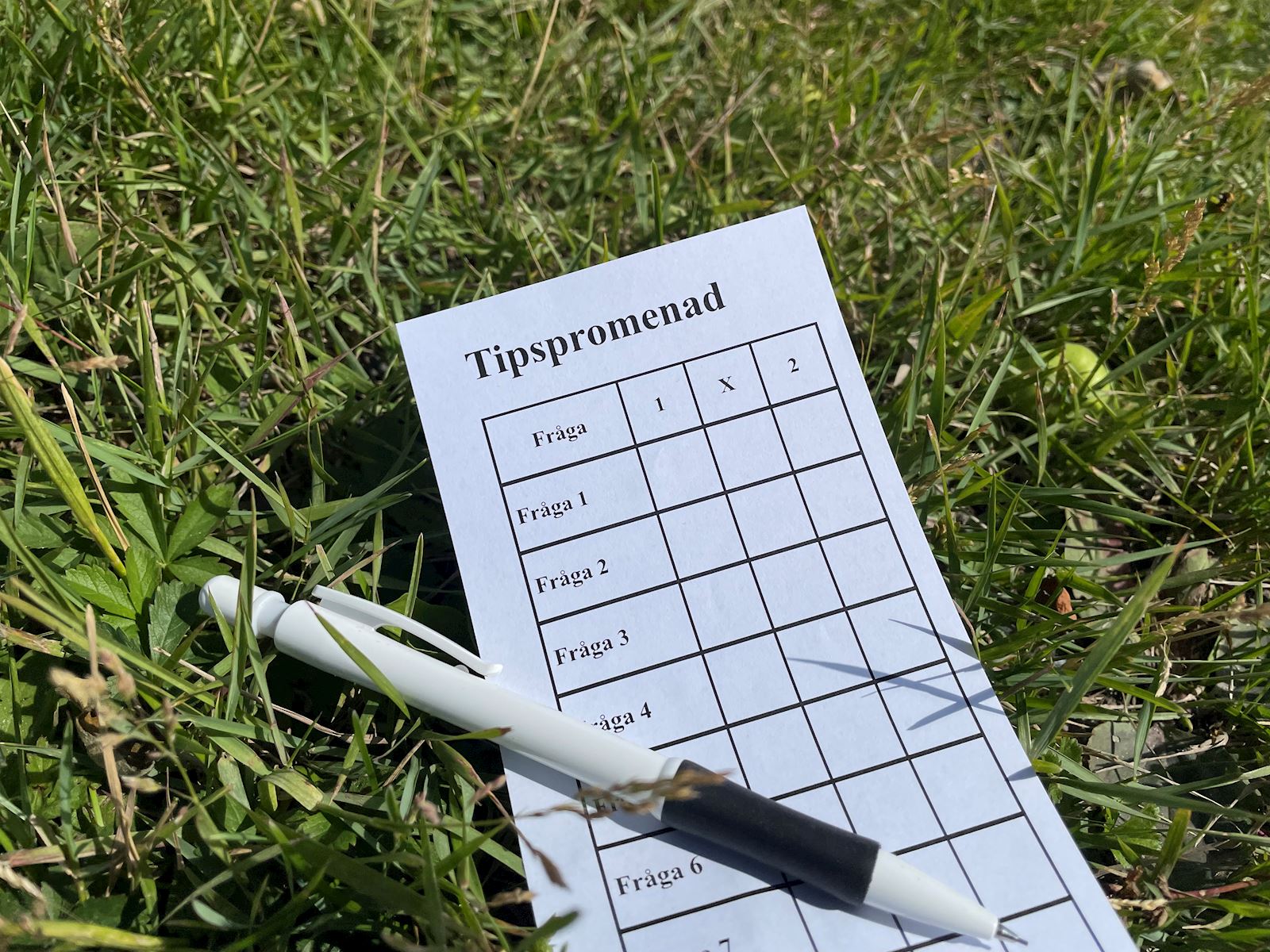 En tipspromenadlapp med en penna.