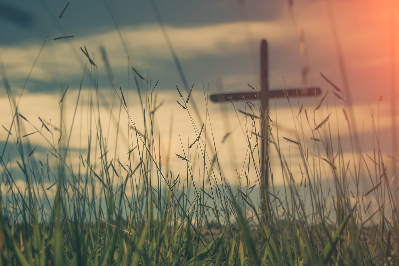 Kors och grässtrån i skymning 
