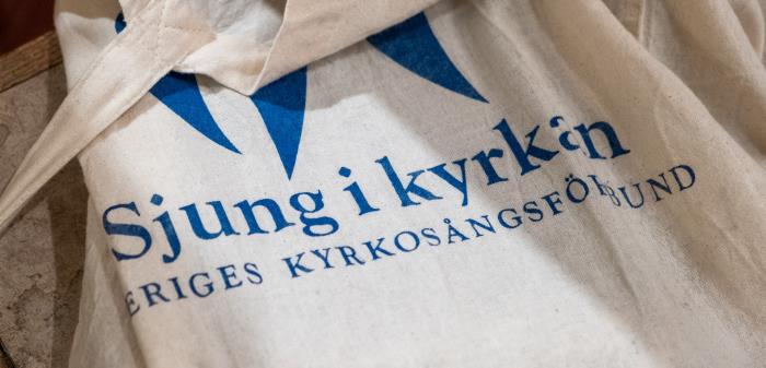 Gillar du att sjunga? Här hittar du våra körer och sånggrupper för alla ålrdar.