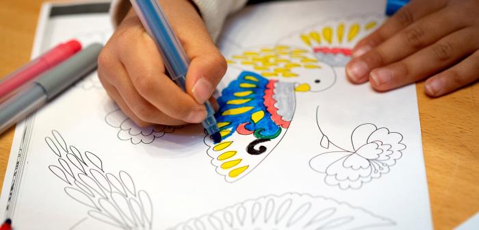 Här hittar du veckans pysseltips från våra pedagoger, som du kan göra tillsammans med en förälder, en kompis eller själv. Klicka dig vidare för att se hur du gör. Lycka till och ha kul!