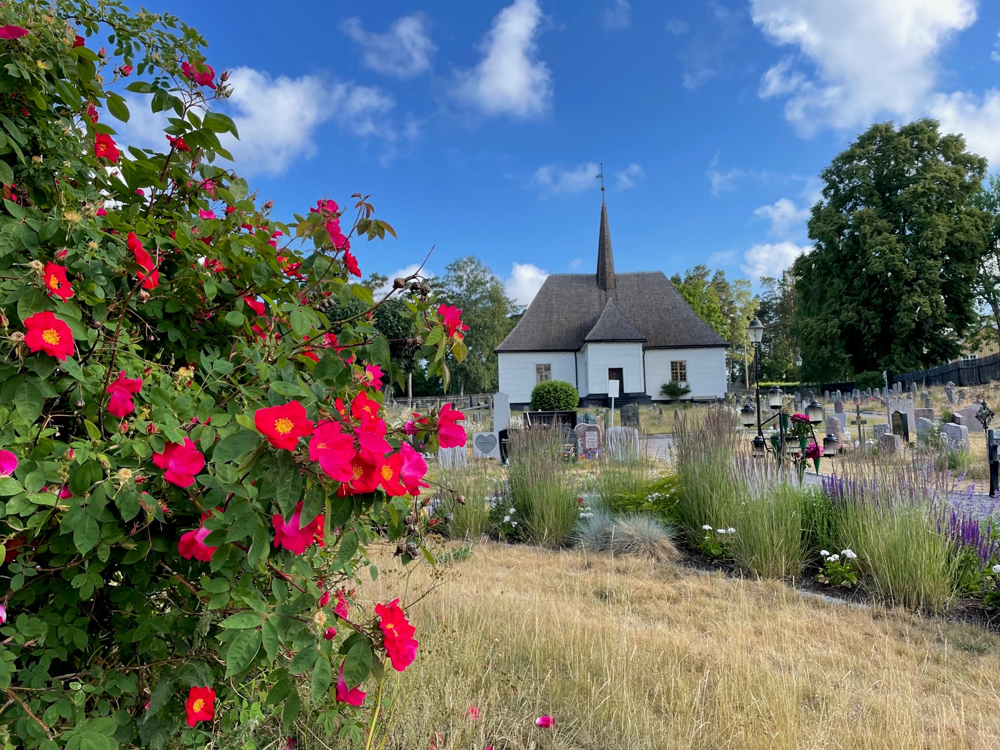Djurö kyrka ros