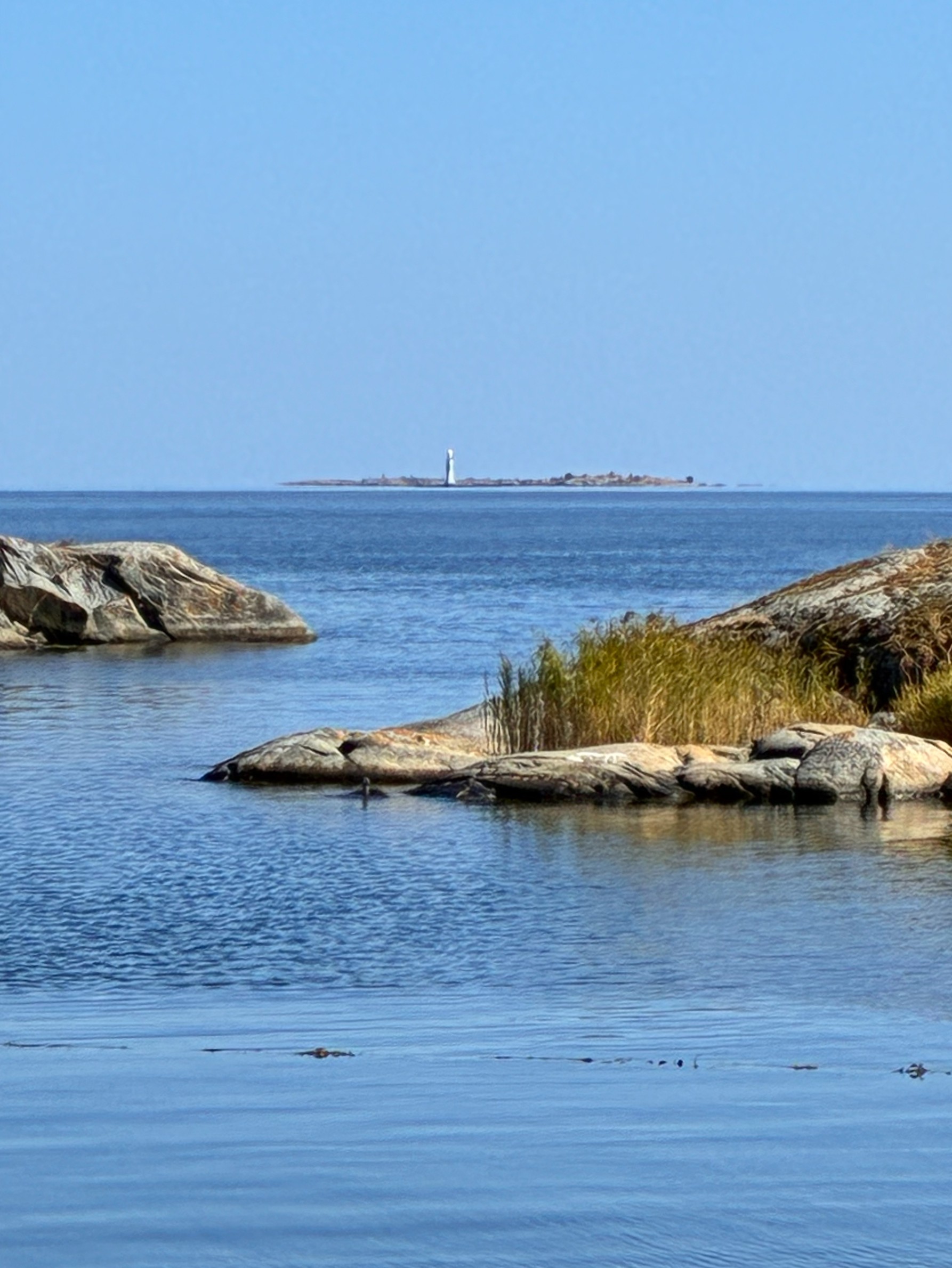 Ramsmora på Möja