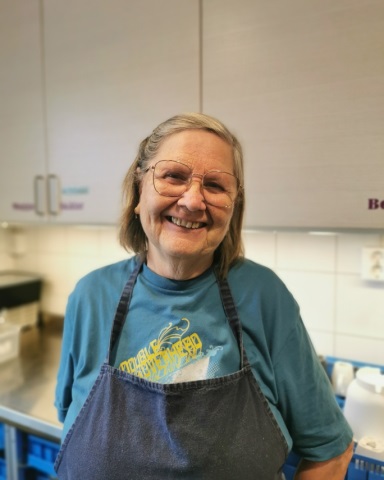 Gunnel Holmgren
