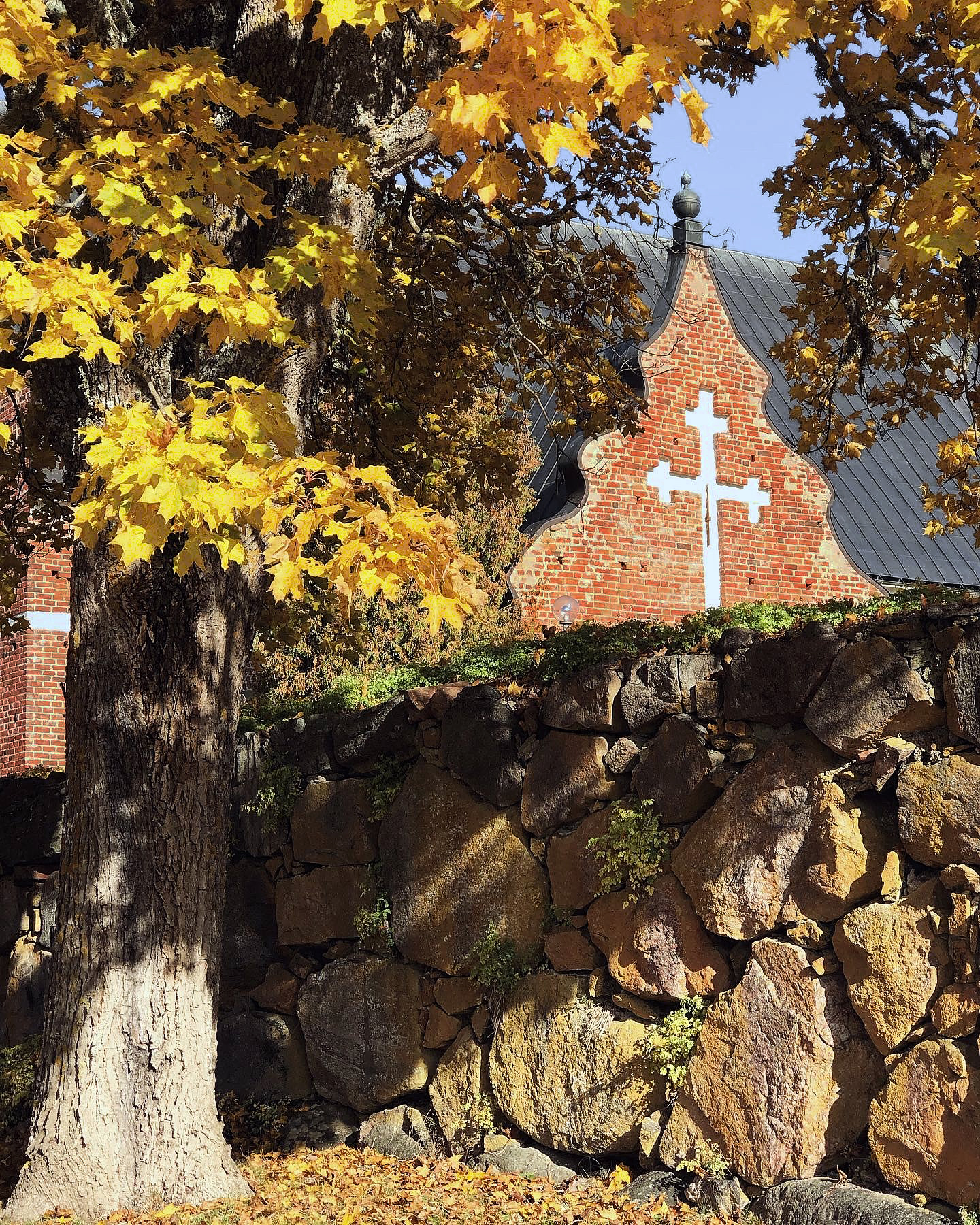 Österlövsta kyrka i höstskrud. I förgrunden en hög stenmur och ett träd med gula höstlöv, i bakgrunden tegelfasaden på Österlövsta kyrka som sticker upp bakom muren.