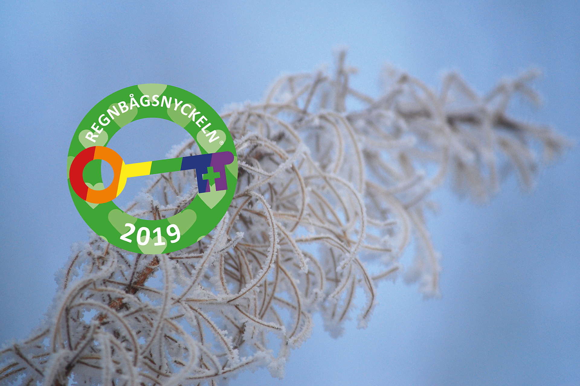 Frostig gren mot en blå himmel.