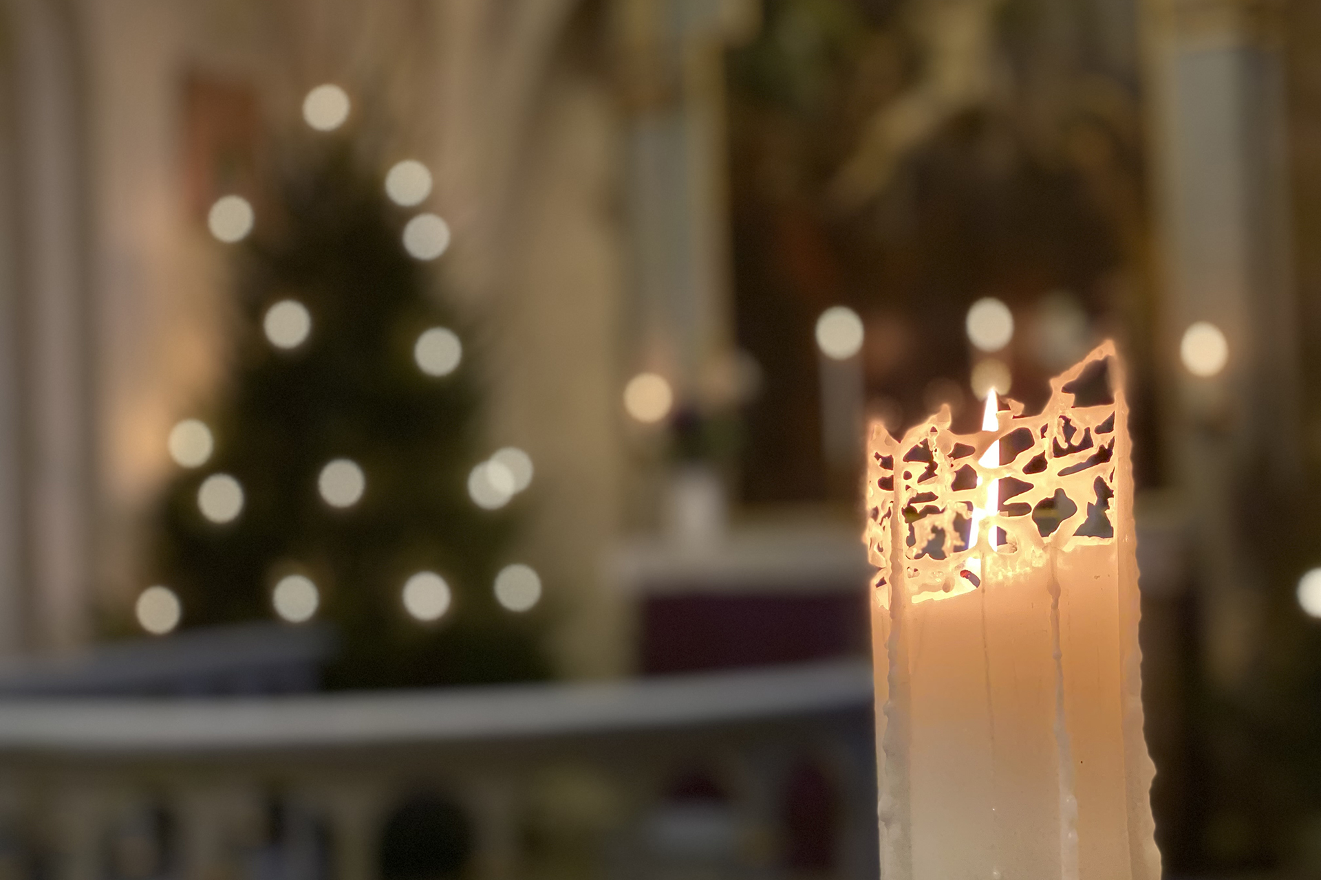 Julgran och ljus i Söndrums kyrka.