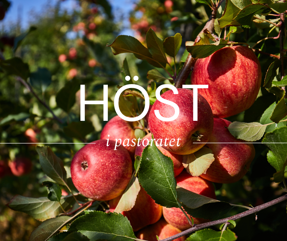höst