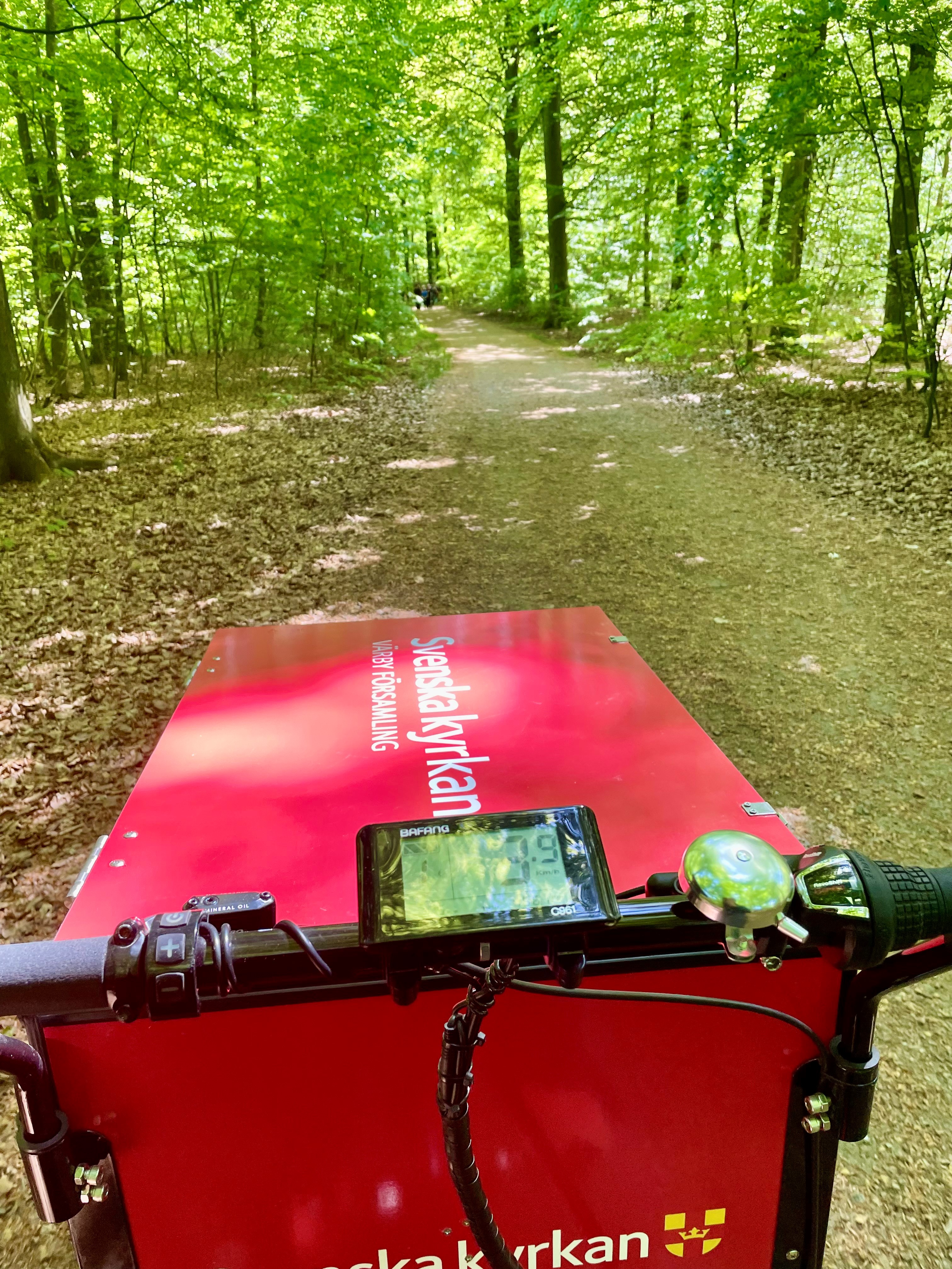 En röd lådcykel ute i en vårskog.