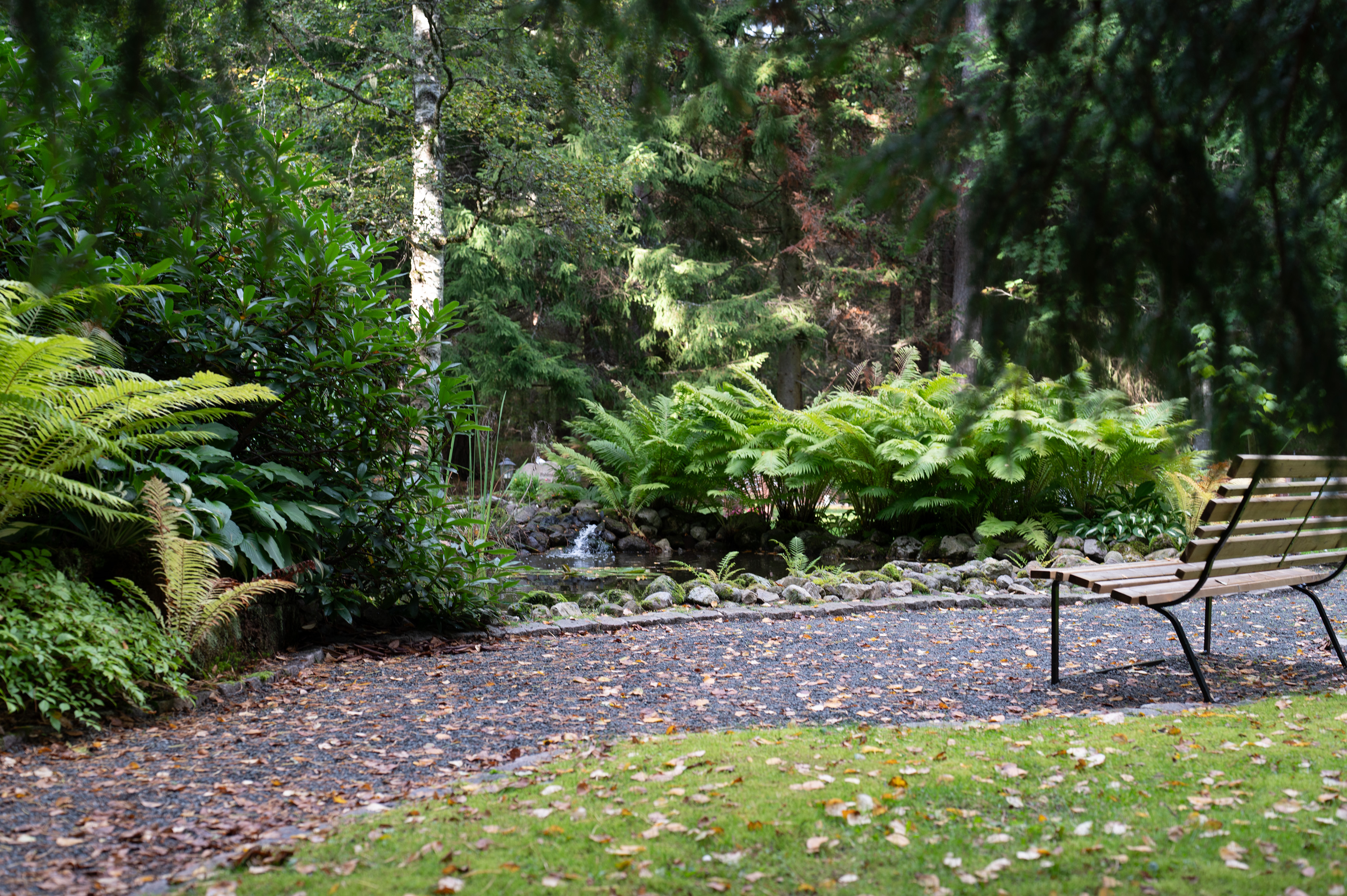 Bänk skogskyrkogården 25