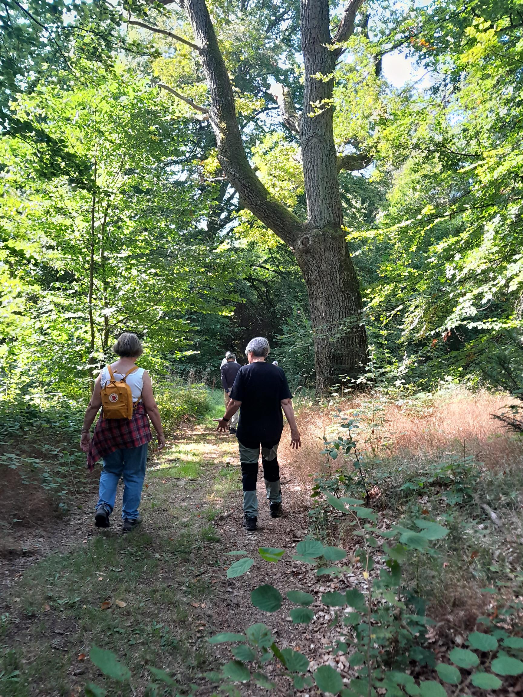 pilgrimsvandring