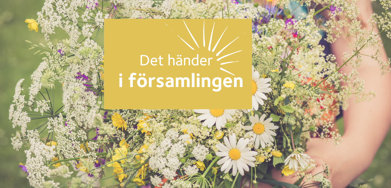 En stor bukett med sommarblommor.