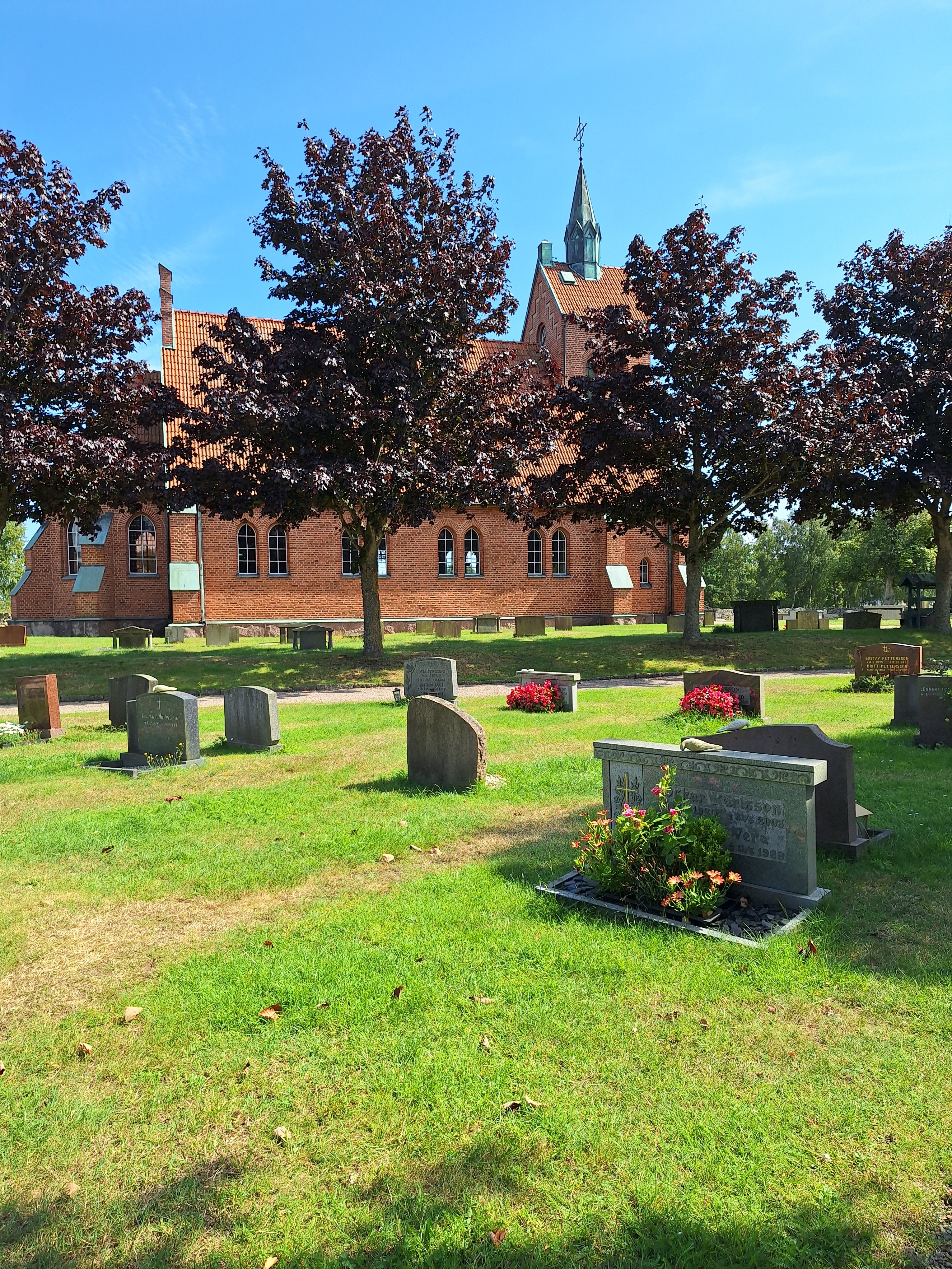 Hasslö kyrka bakom träd.