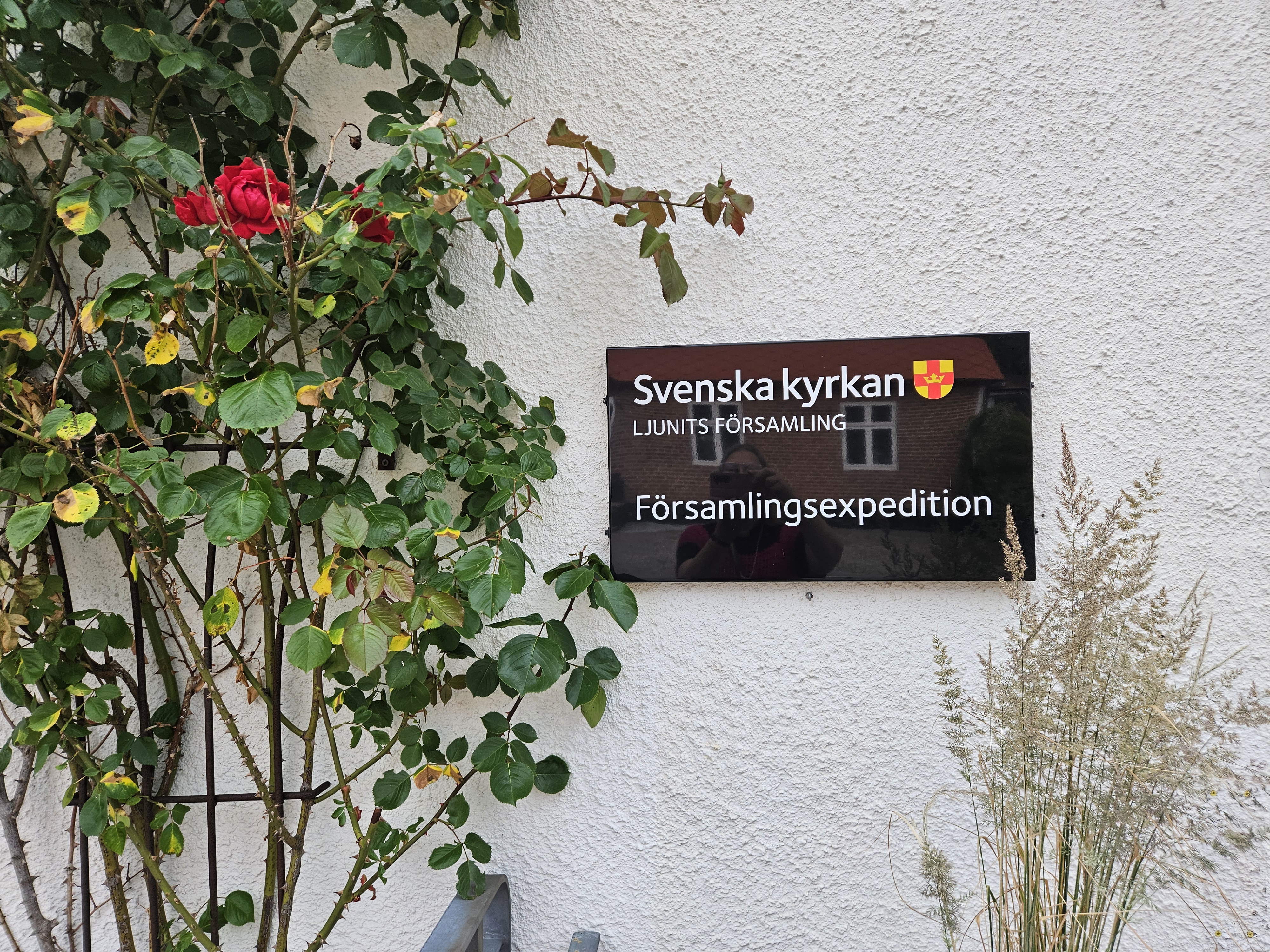 Öppet
