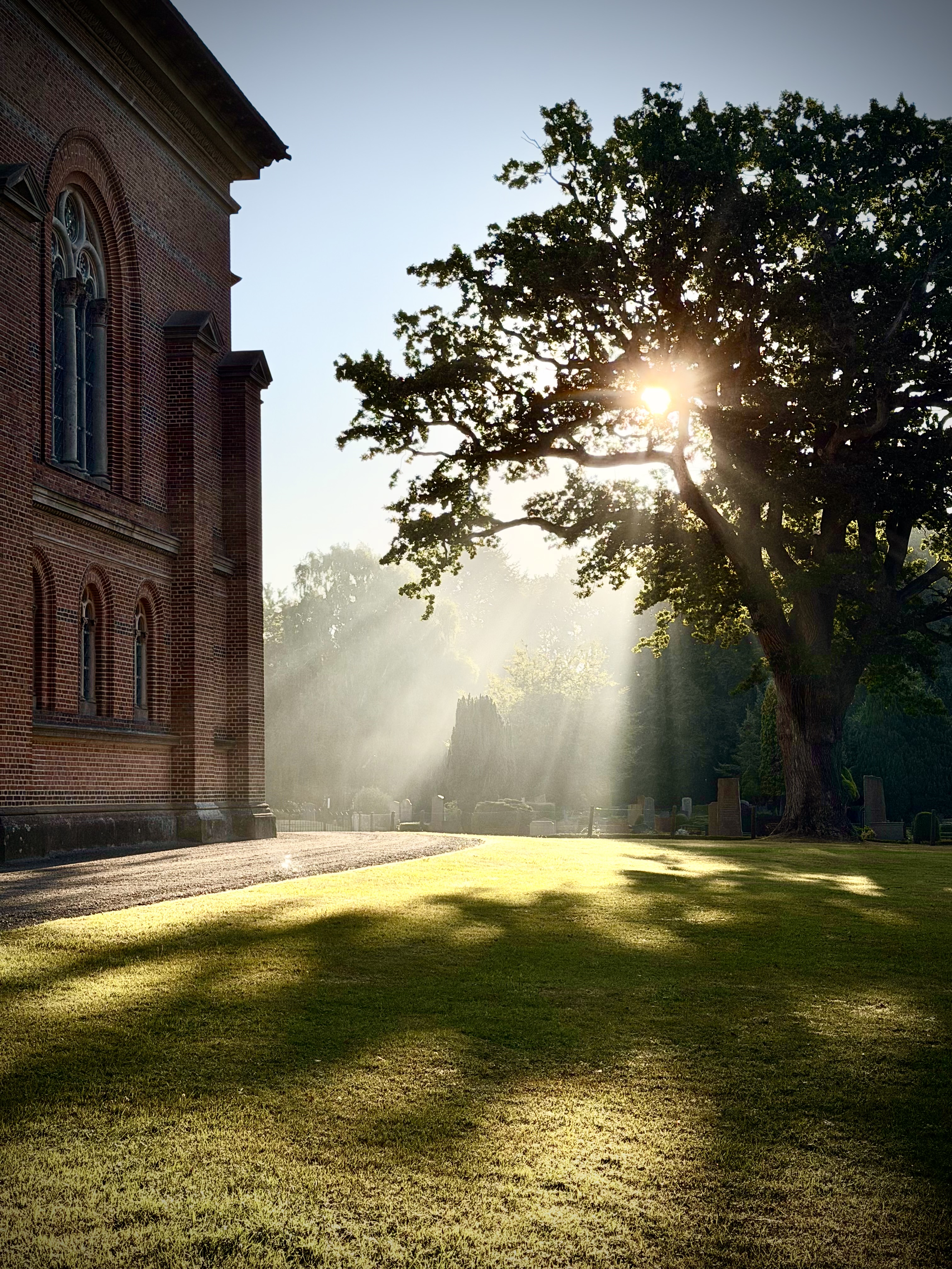 Marsvinsholm
