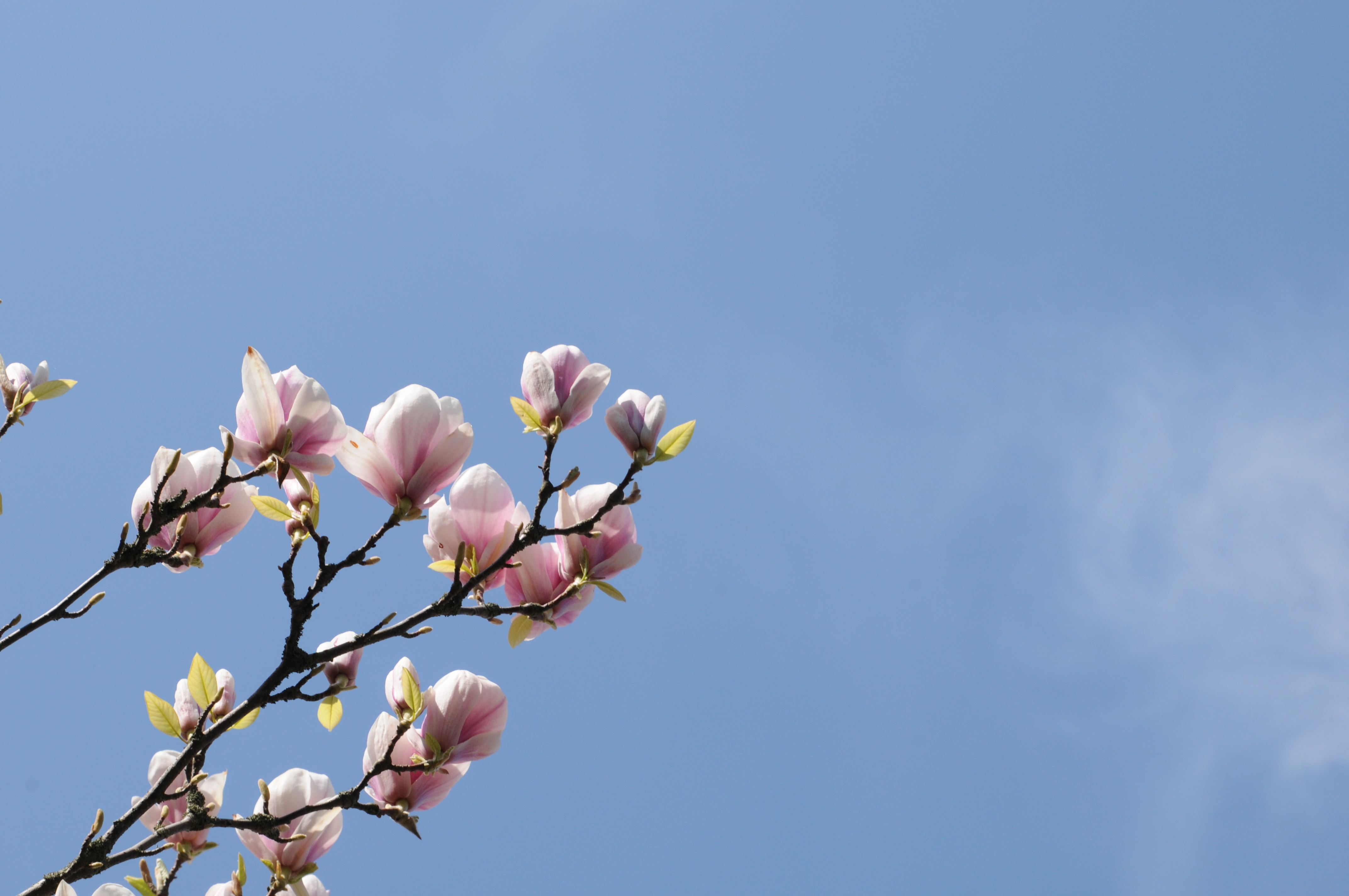 himmel