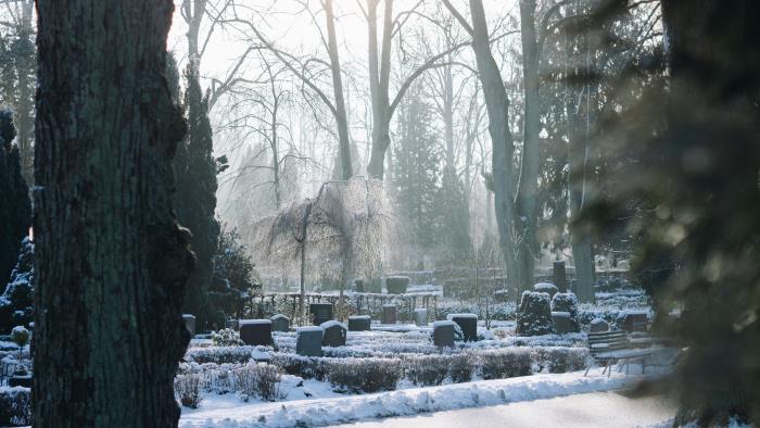 Gravstenar under snö, Norra kyrkogården i Lund