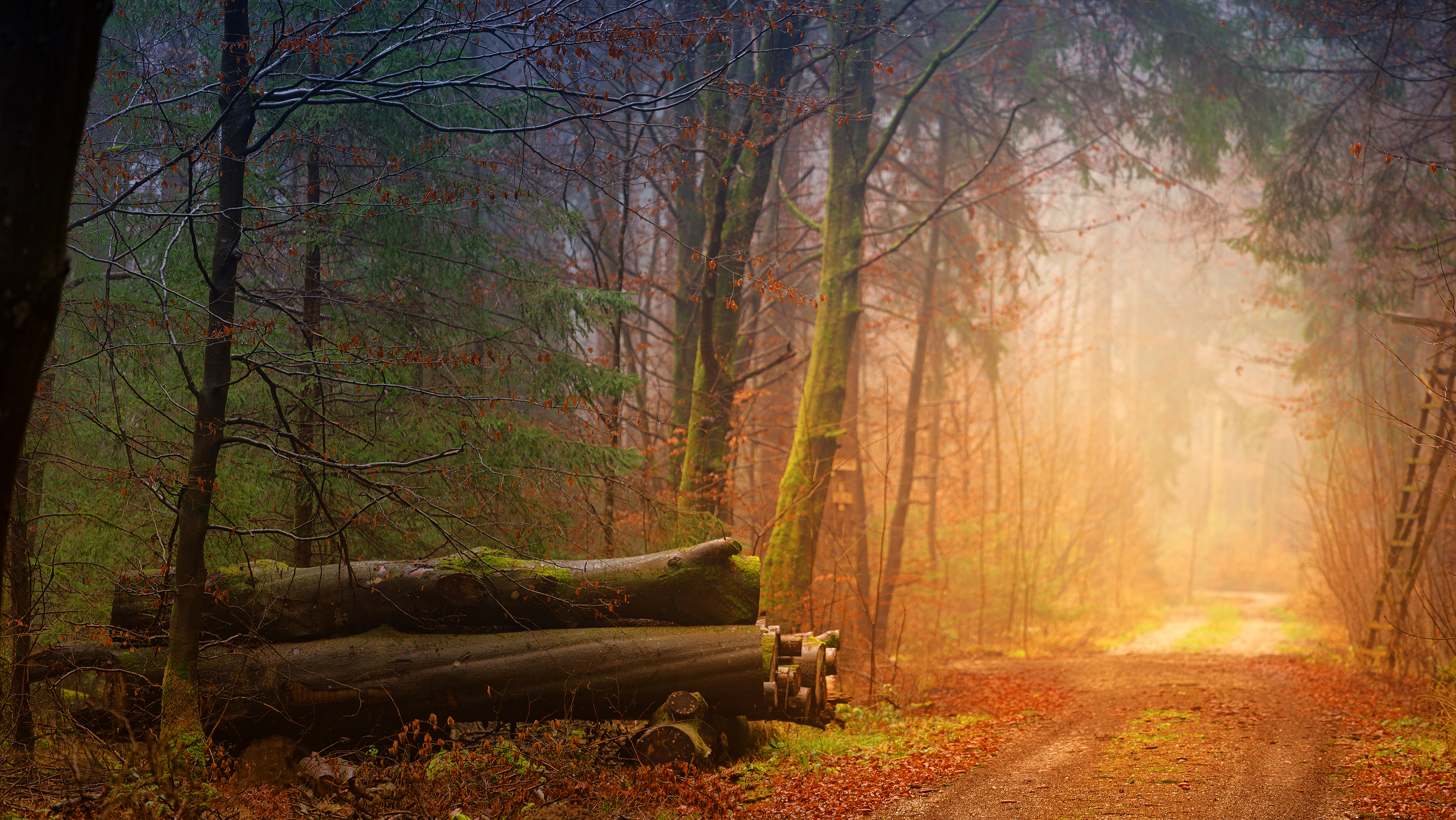 Höst-natur_Pixabay