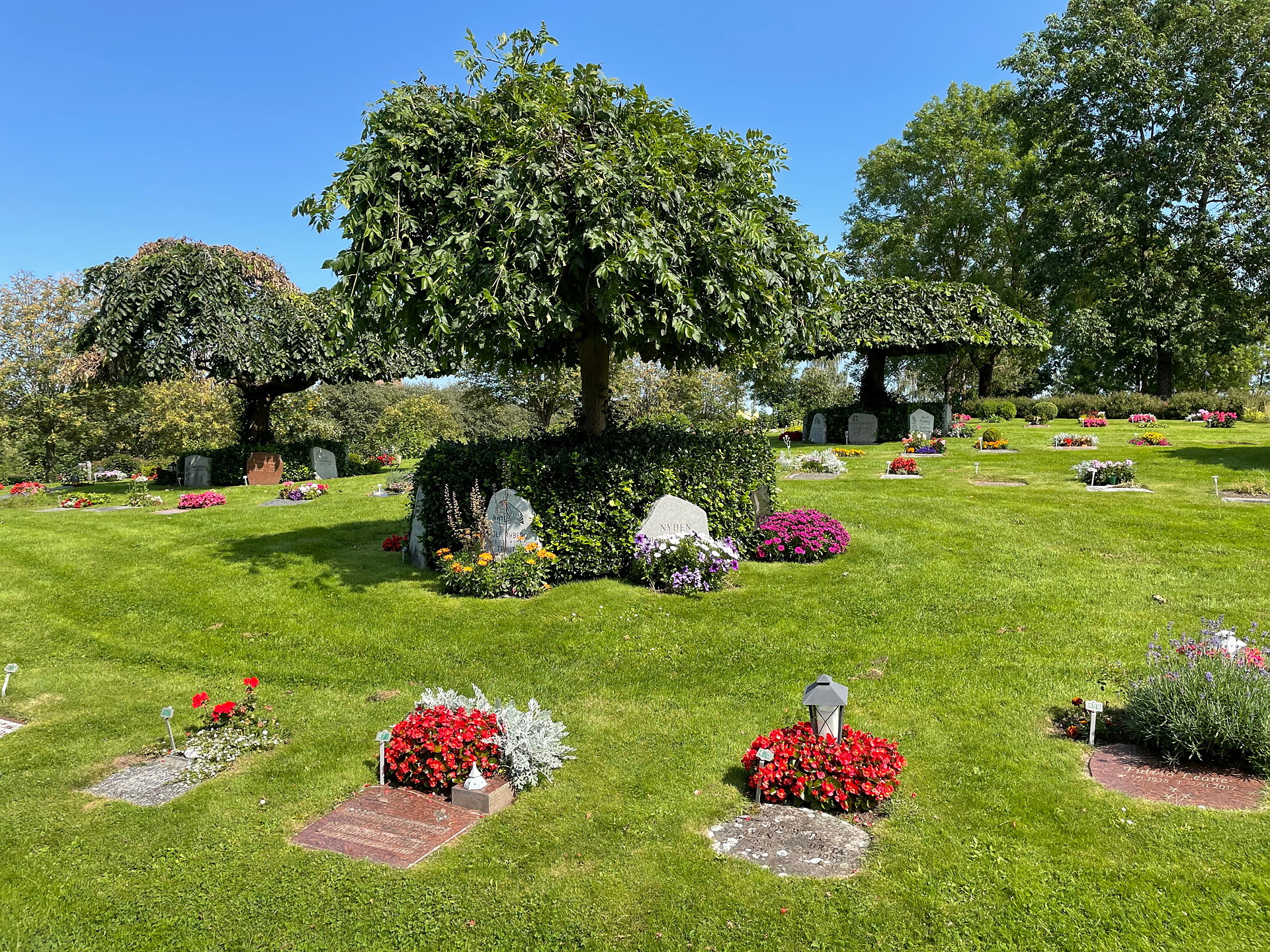 Kyrkogård