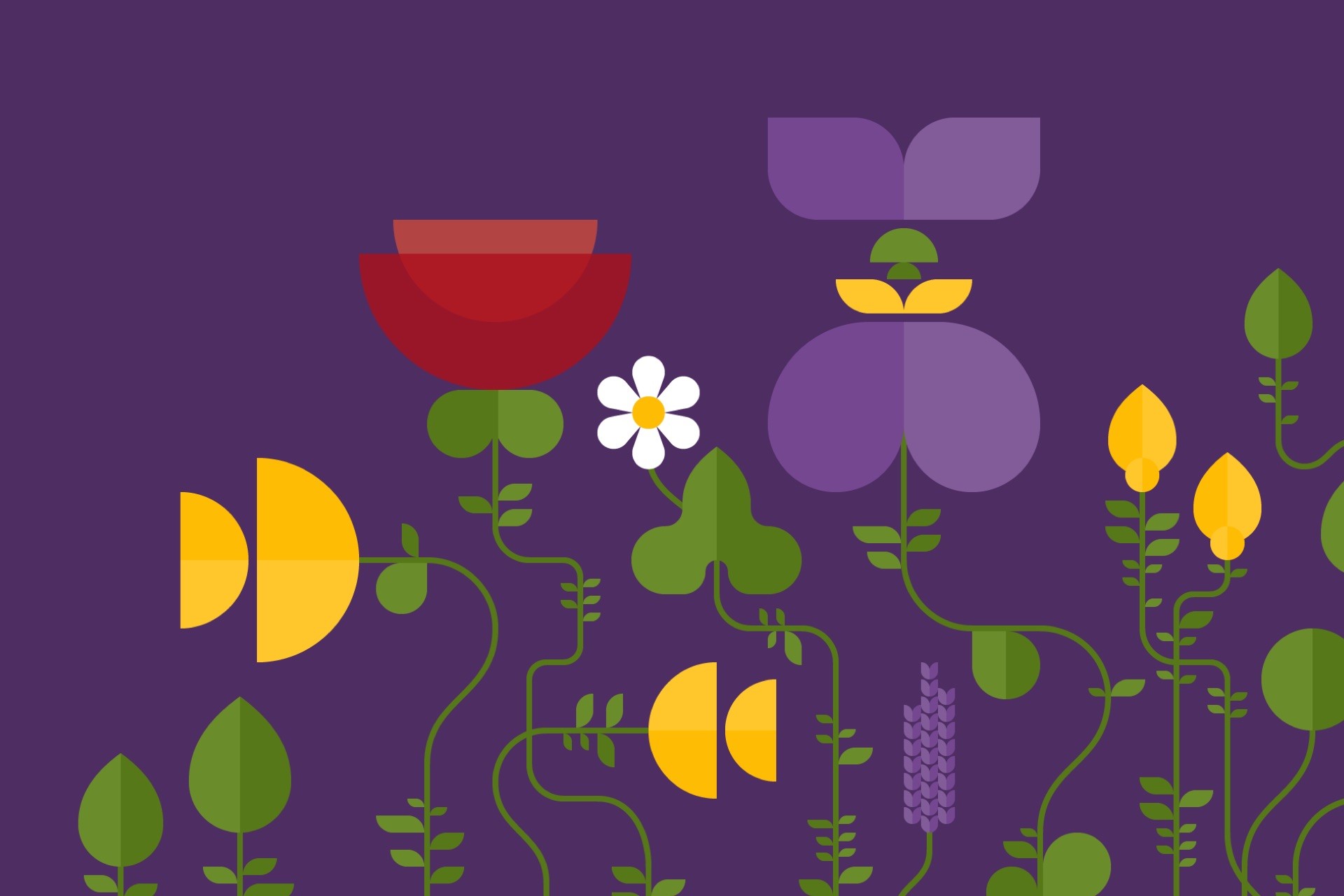 Illustration av blommor i olika färger.