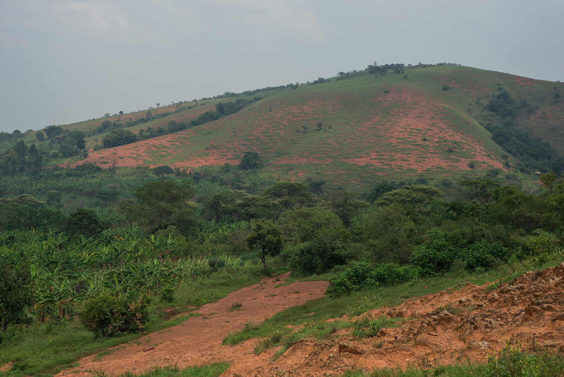 Tanzania