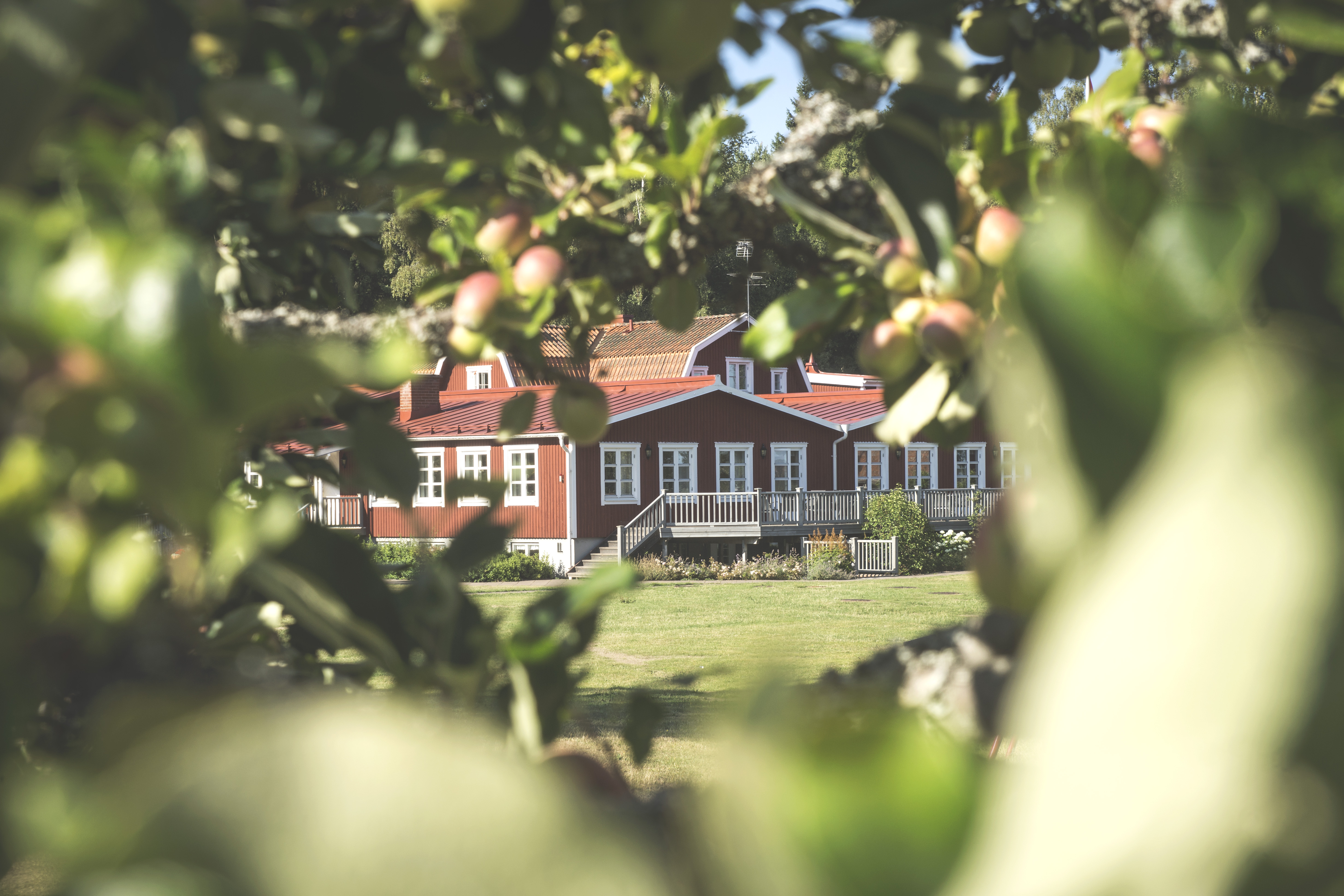 Gransnäs stiftsgård i sommargönska
