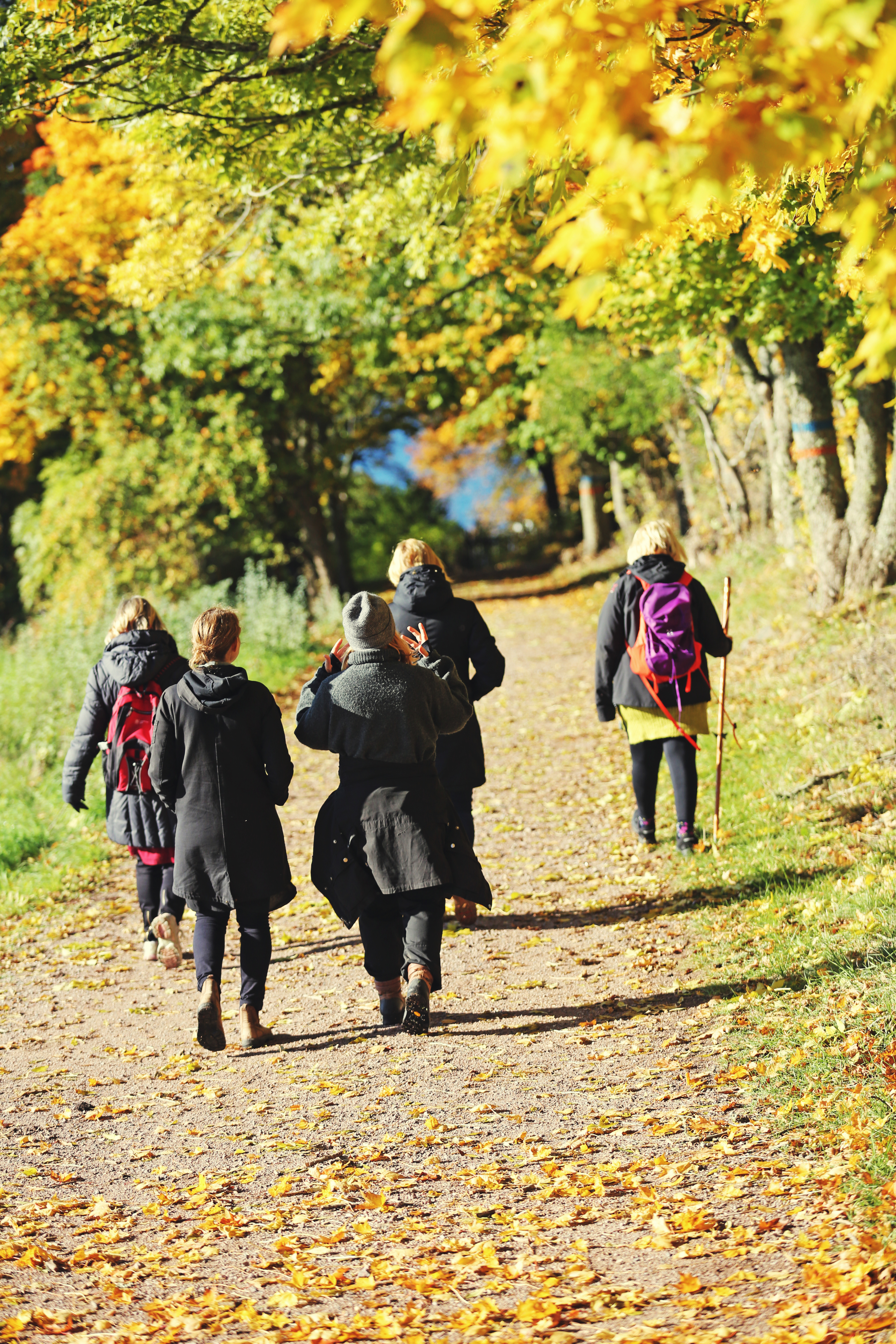 Pilgrimscentrum