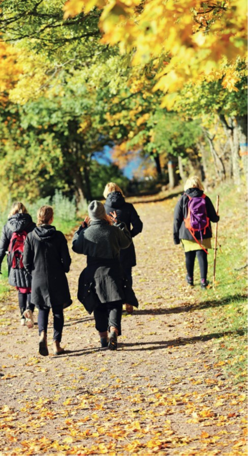 pilgrimsvandring i Skapelsetid