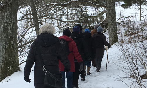 Välkommen med att promenera!
I mindre grupp och på coronasäkert avstånd kan vi få motion, frisk luft och möjlighet att samtala. Vi promenerar i mindre grupper och blir vi fler än 8 delar vi upp oss.
Samling:
Tisdagar: 15.30 utanför PRO-lokalen i Orrefors
Onsdgar: 15.30 utan för Ansgarsgården, Nybro
Torsdagar: 15.30 utanför församlingshemmet i Örsjö
Fredagar: 14.00 utanför Oasen, Alsterbro
Räkna med ca 45 minuters promenad som sedan upplöses när vi är tillbaka vid utgångspunkten.
Vid frågor kontakta diakon Ingrid Graaf tel 0481-429 60
Alsterbro: Kerstin Jonsson tel 0481-429 80