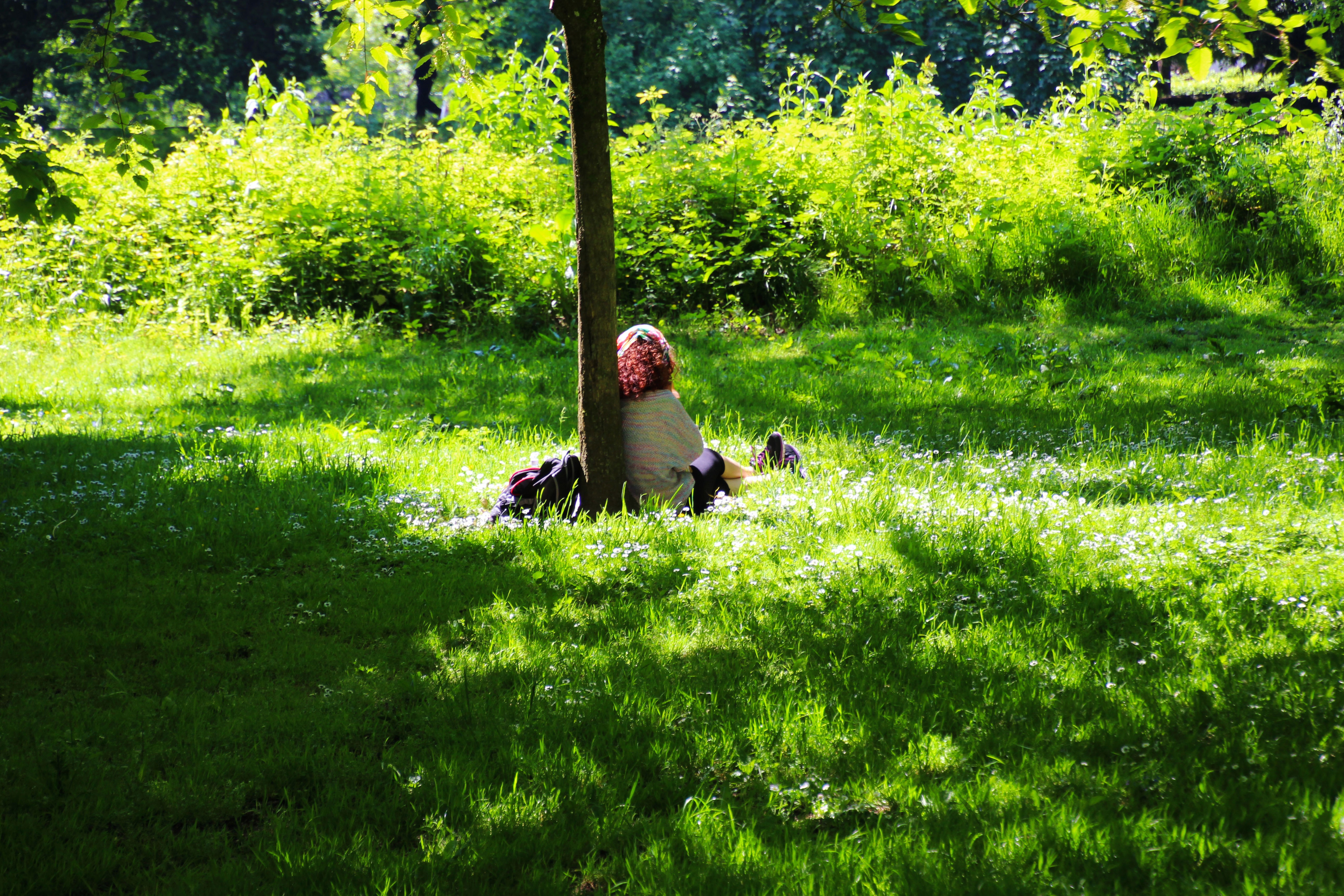 En kvinna sitter lutad mot ett träd omgiven av grönt gräs och buskar. 