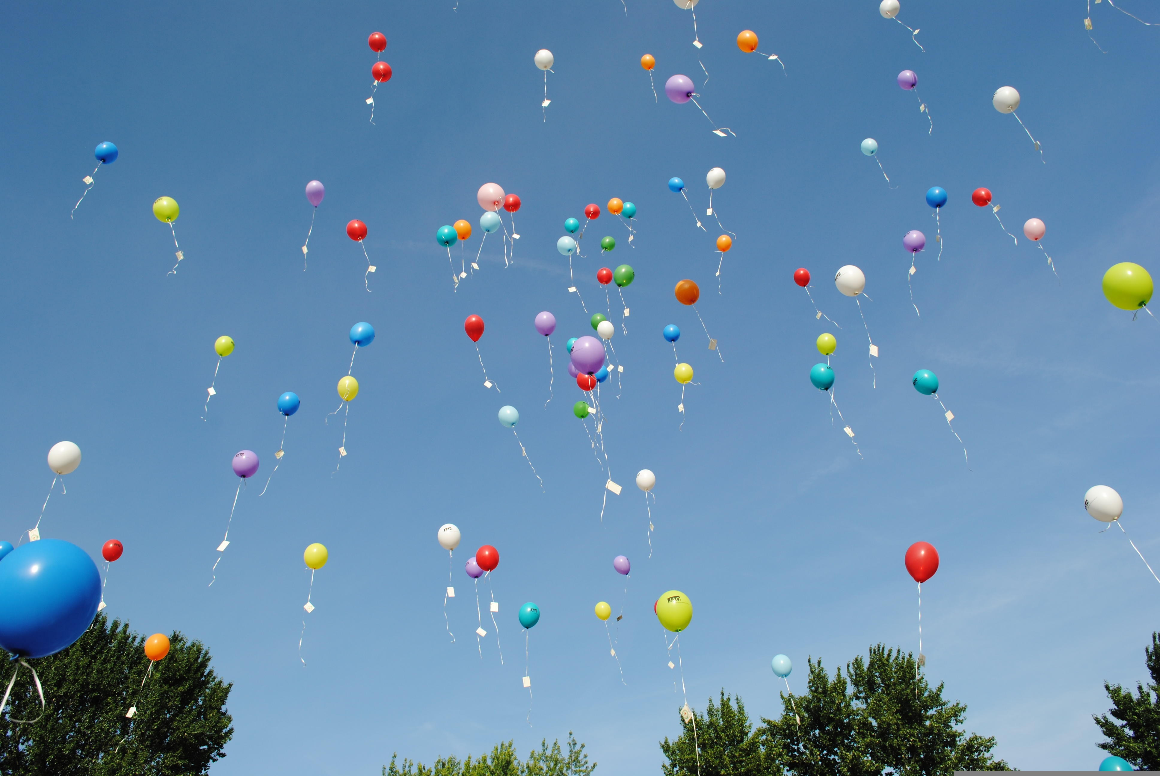 Ballonger som svävar upp mot en blå himmel.