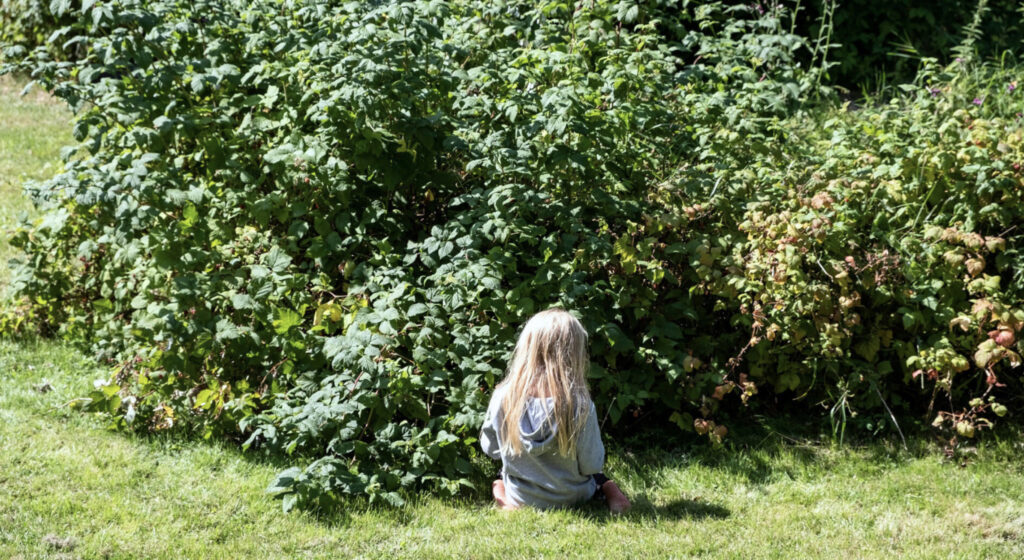 En liten flicka sitter på gräset framför en häck.