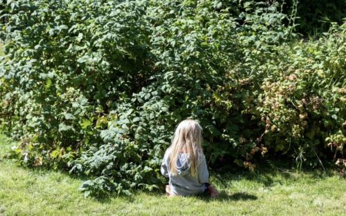 En liten flicka sitter på gräset framför en häck.