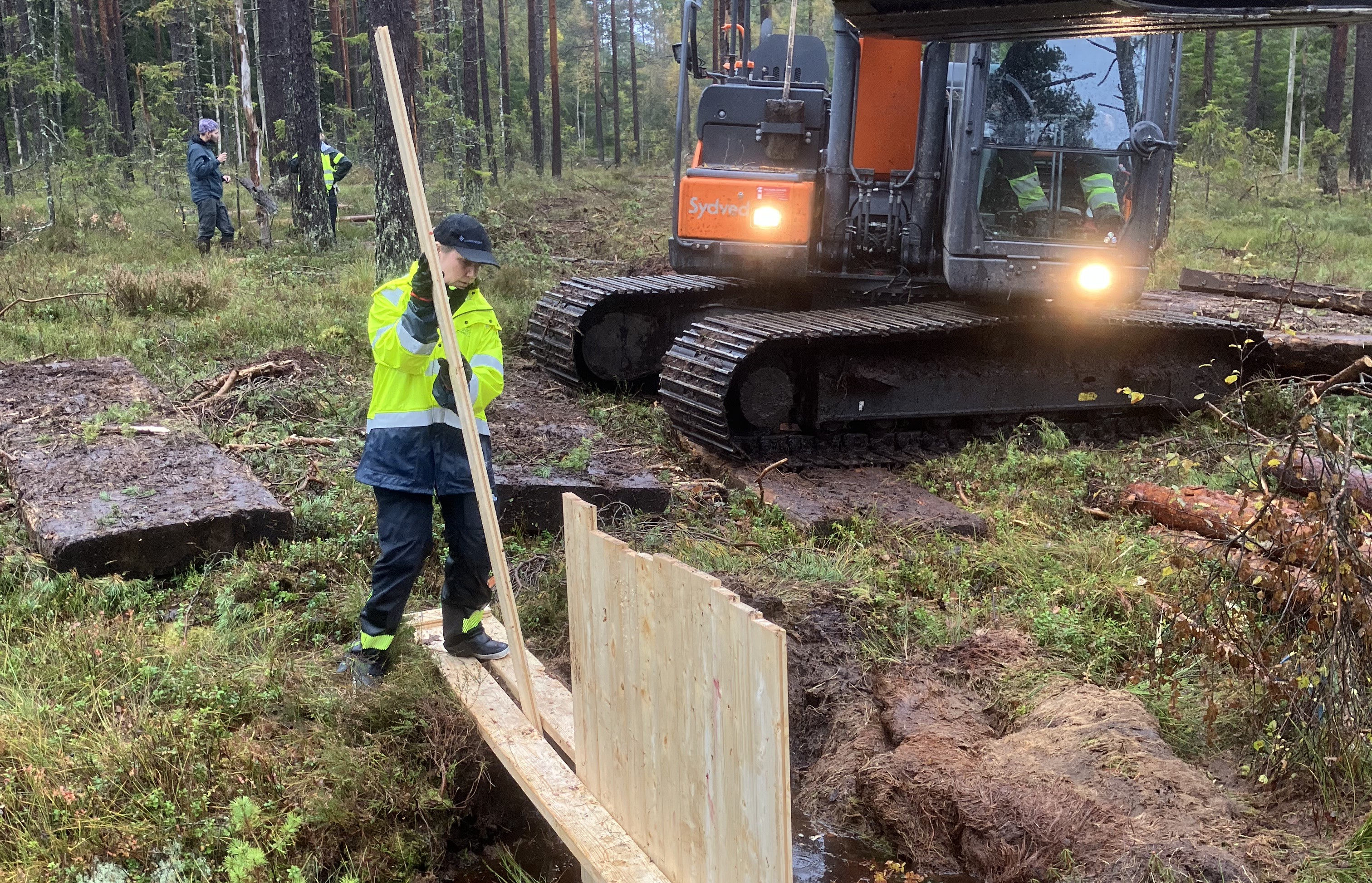 En kvinna arbetar i skogen intill ett vattendrag, i bakgrunden syns en stor grävskopa.