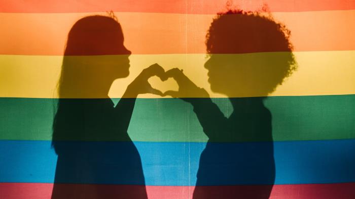 Bakom en halvt genomskinlig regnbågsflagga syns silhuetten av ett par som gör hjärt-tecken med sina händer.