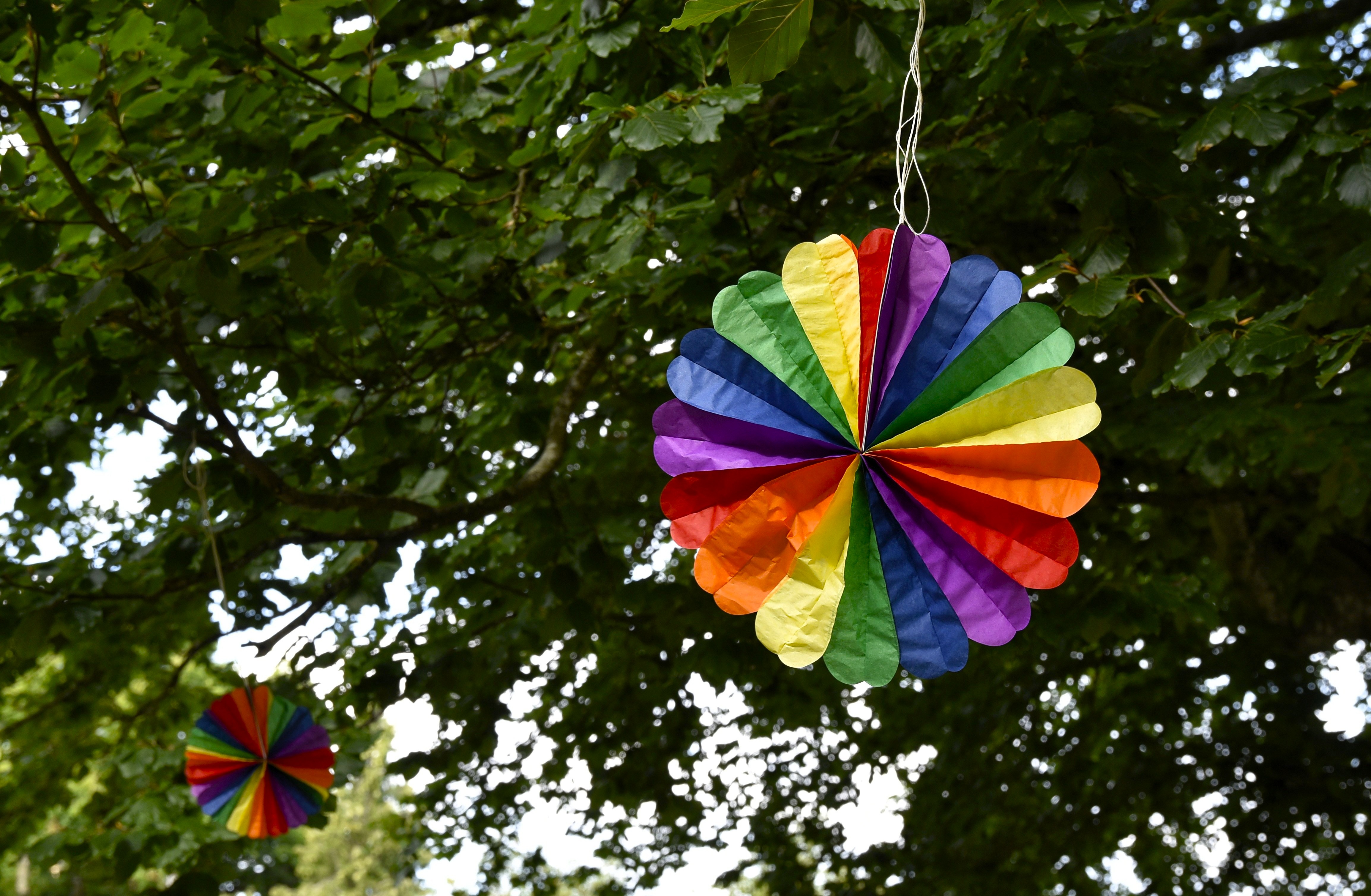 En regnbågsdekoration upphängd i ett träd.
