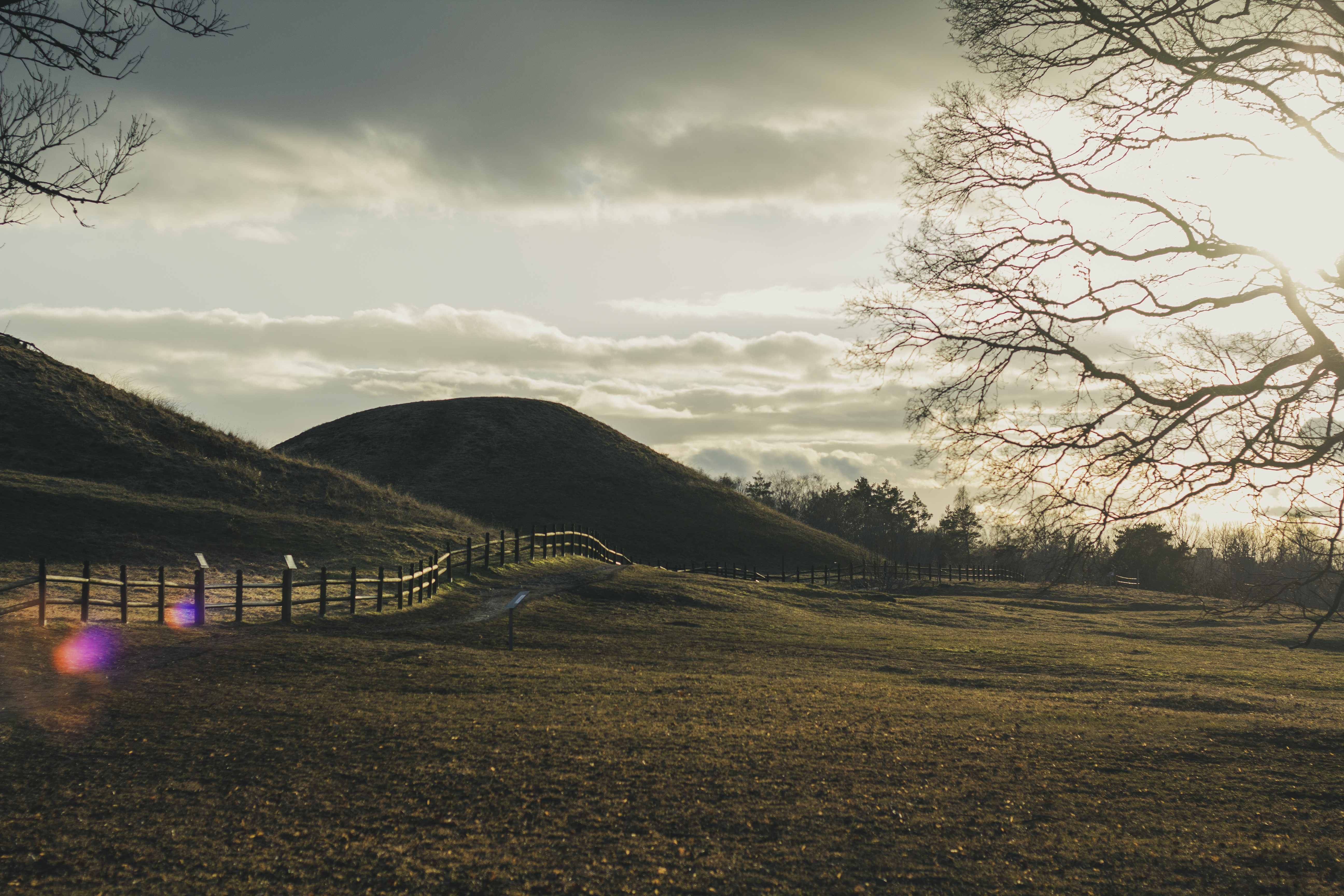 Kungshögarna i Gamla Uppsala i ett öppet landskap med gröna ängar.
