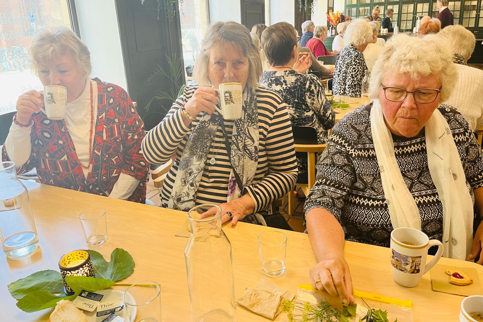 Äldre människor som sitter och dricker kaffe, i fokus tre damer.